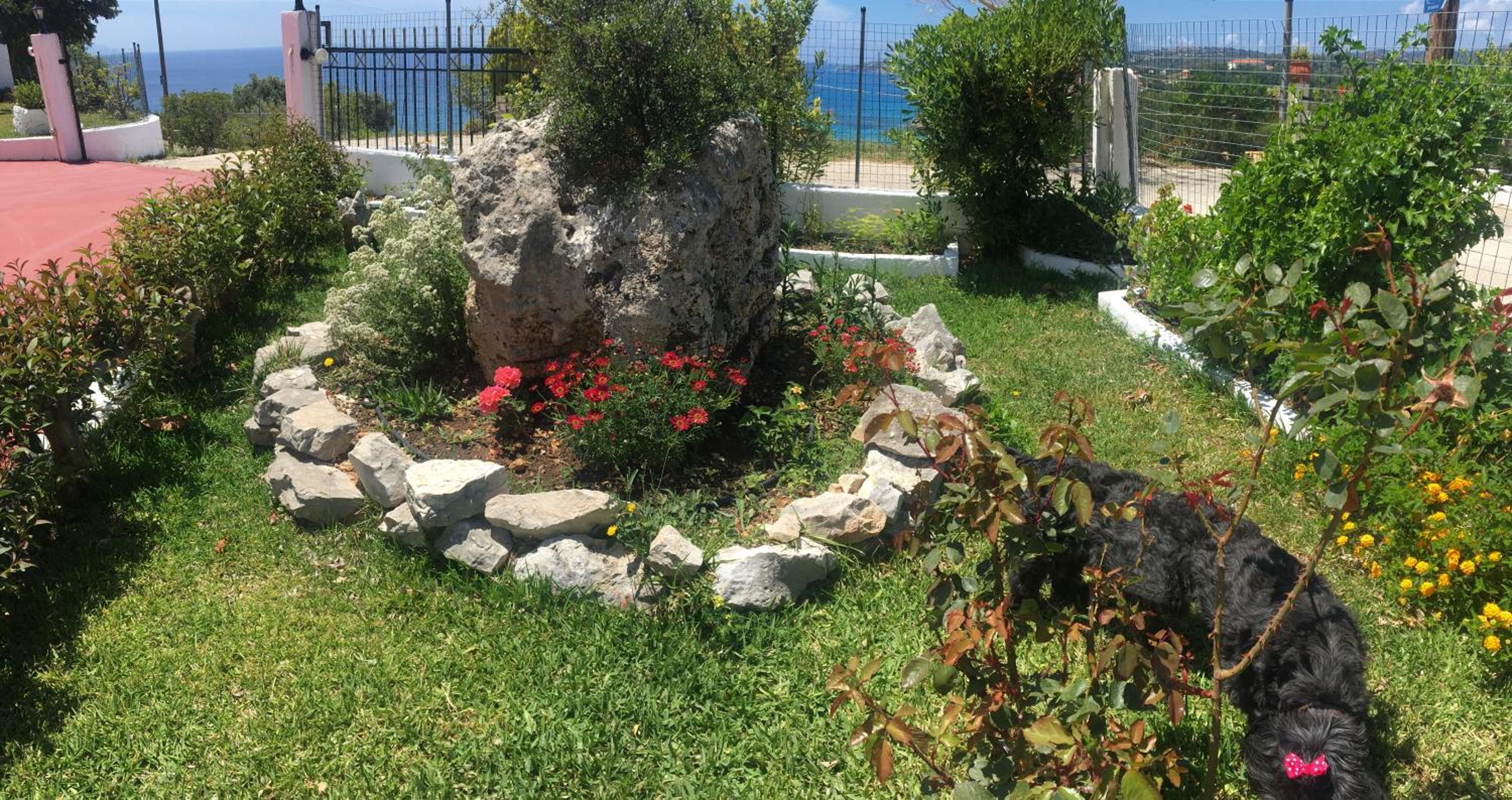 Photo 10