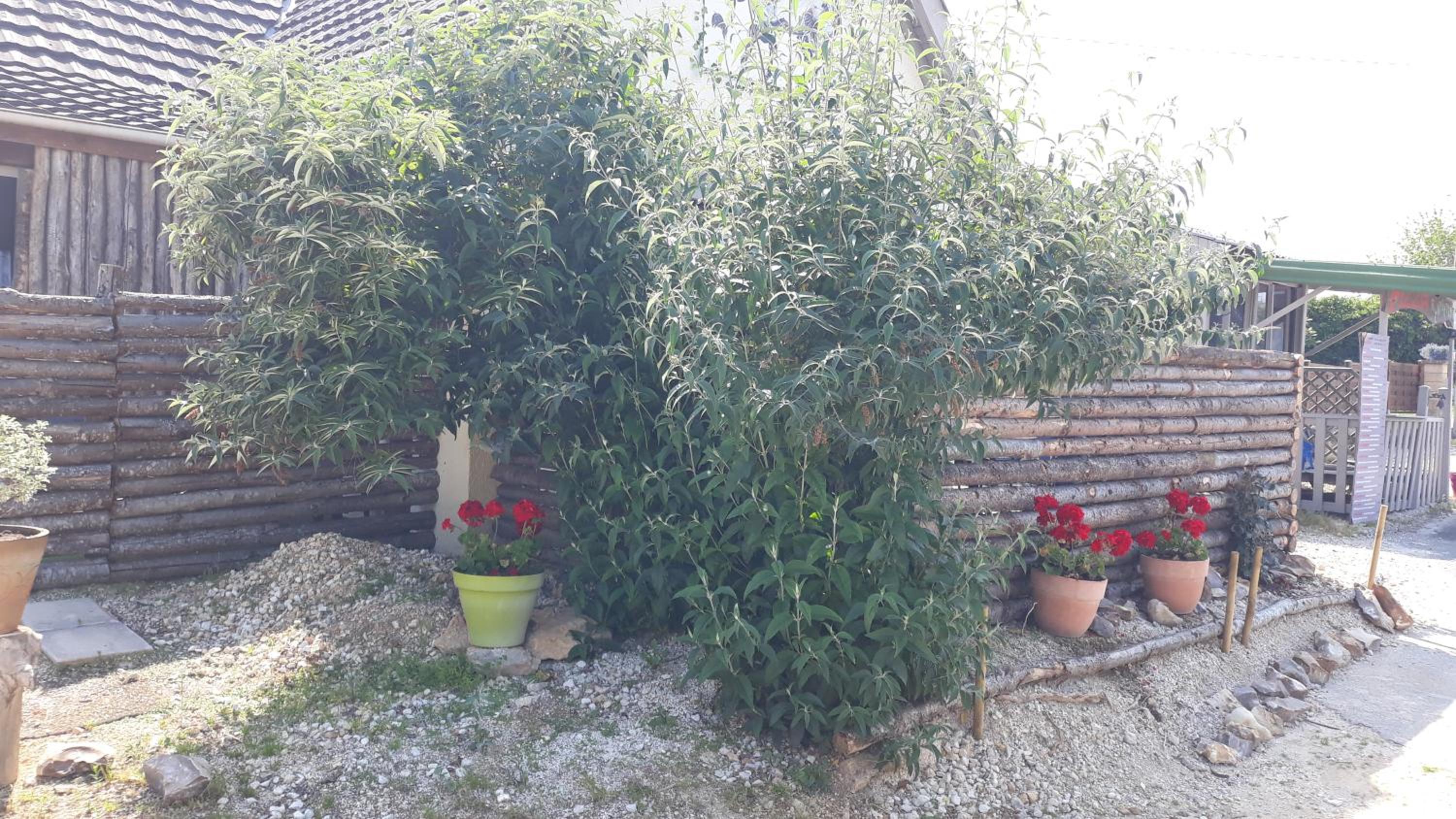 Photo 32