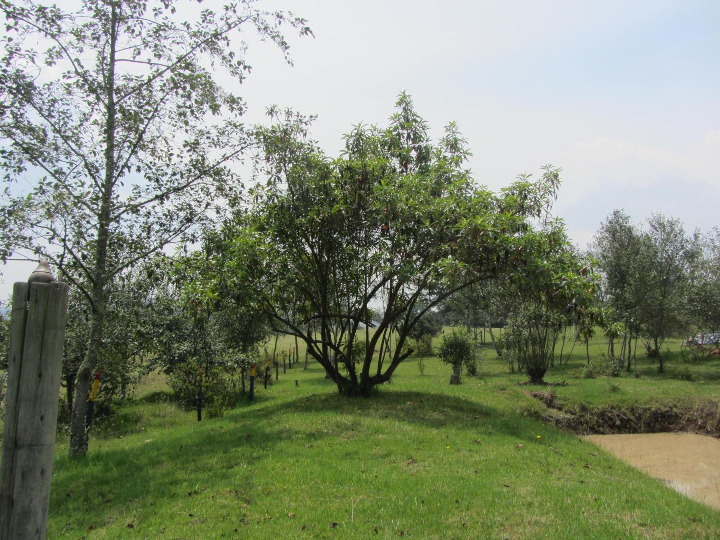 Ecohotel, Finca Colinas y Senderos, Pantano de Vargas