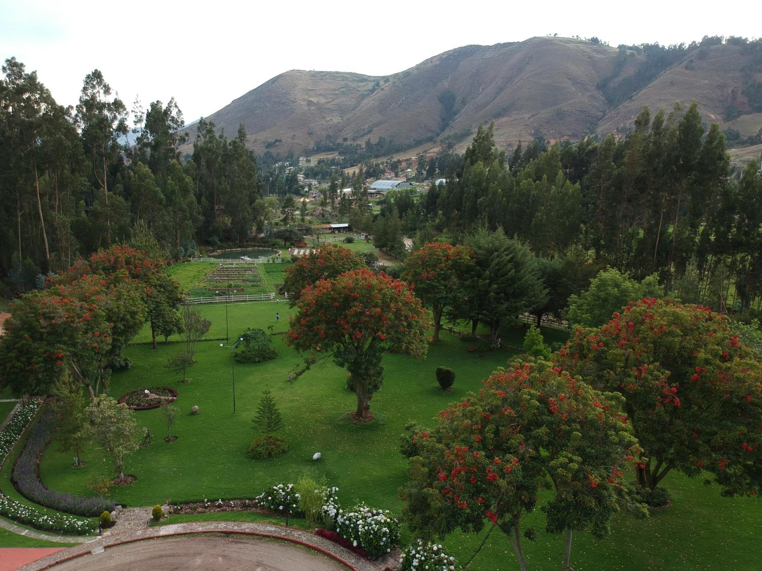 Posada del Puruay