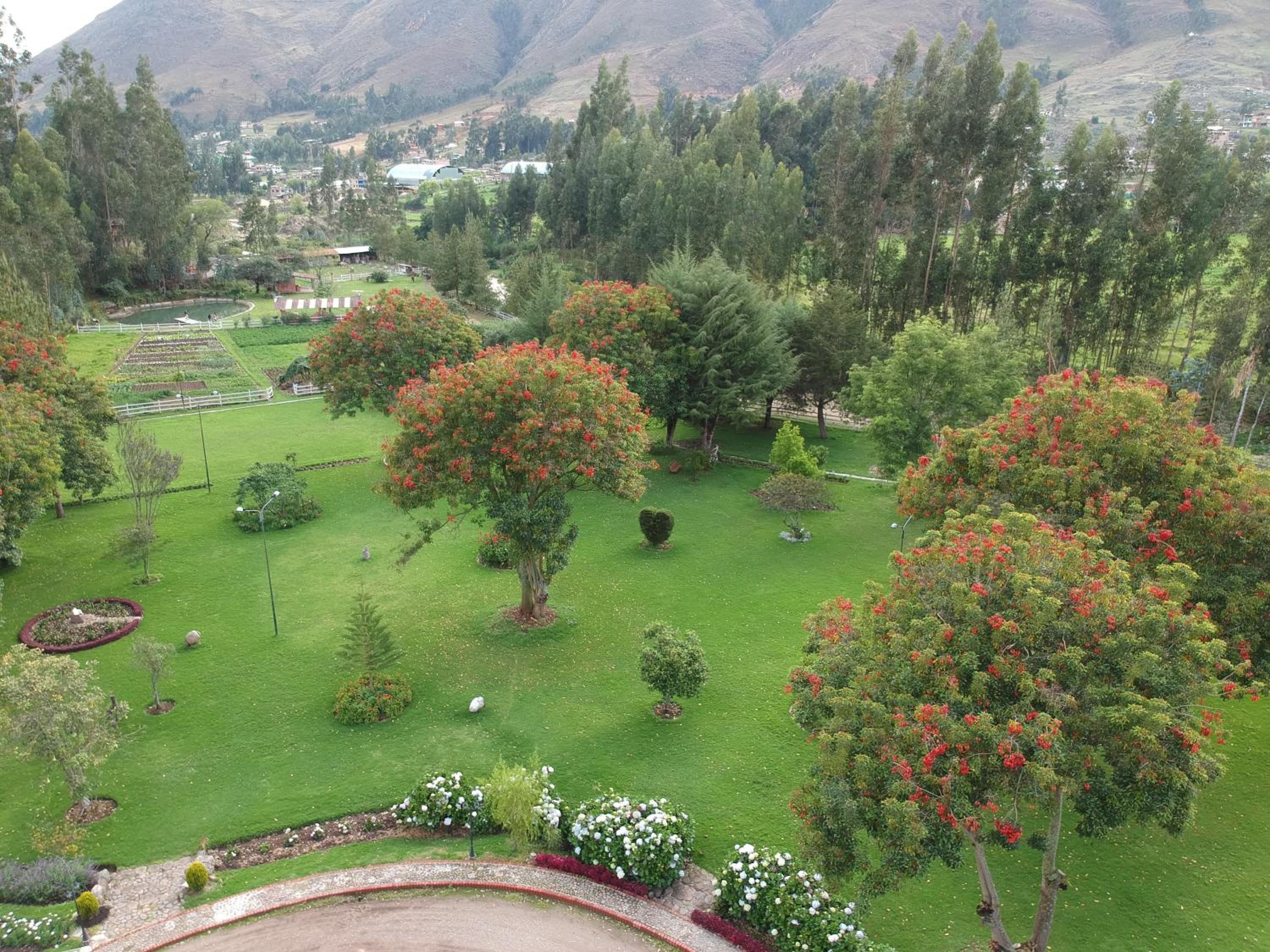 Posada del Puruay