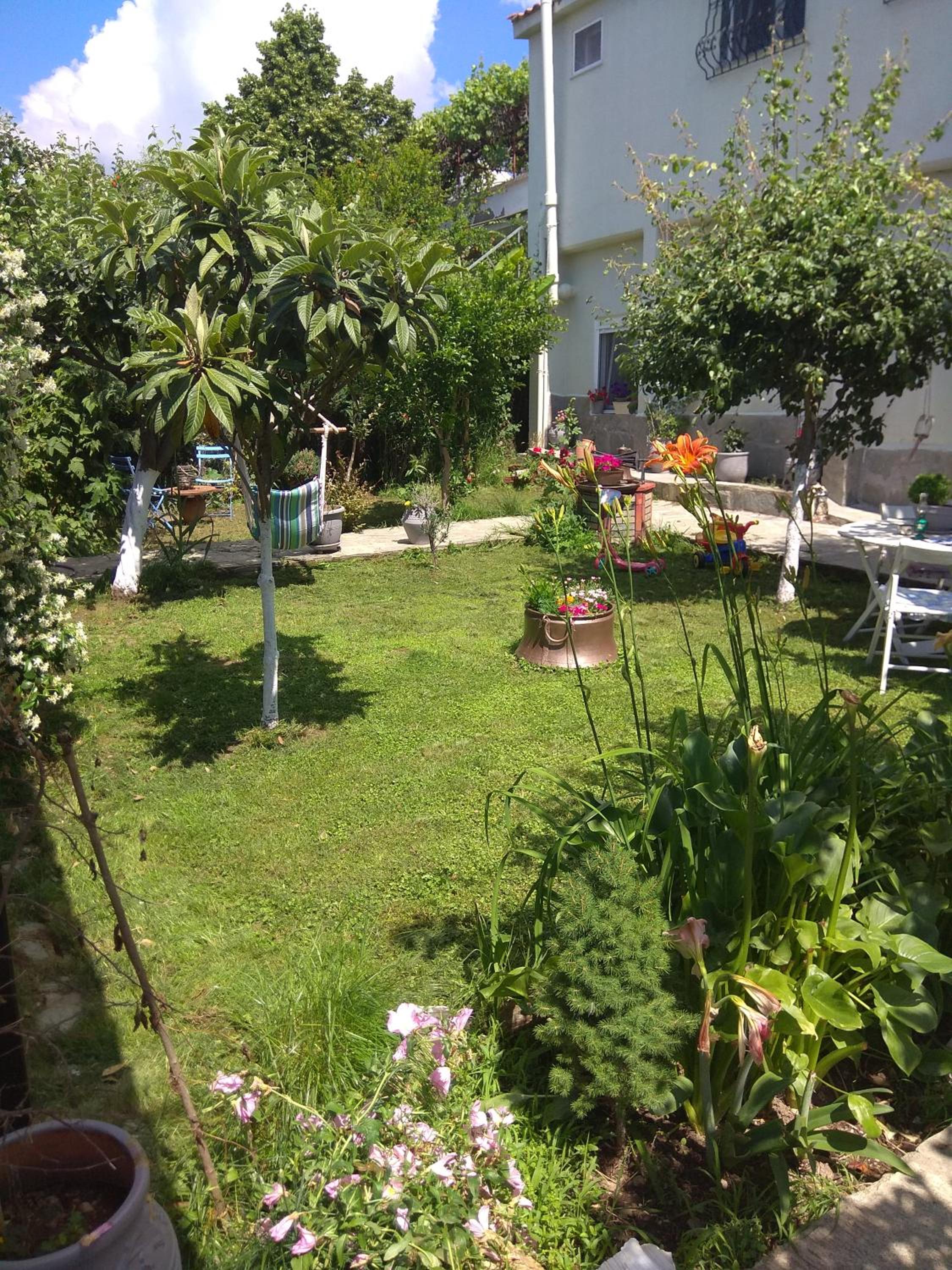 Sofia's Cottage view 2
