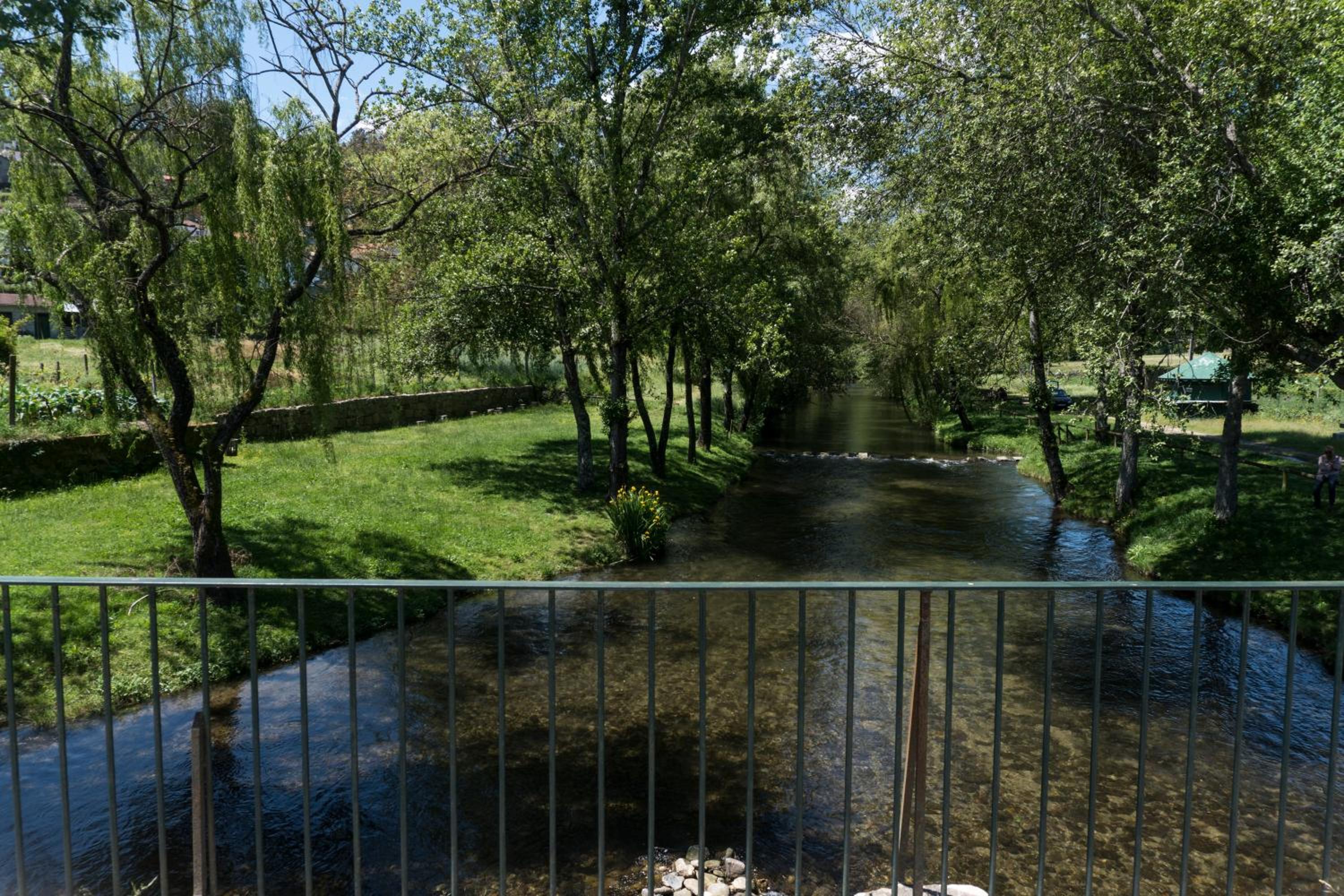Photo 37