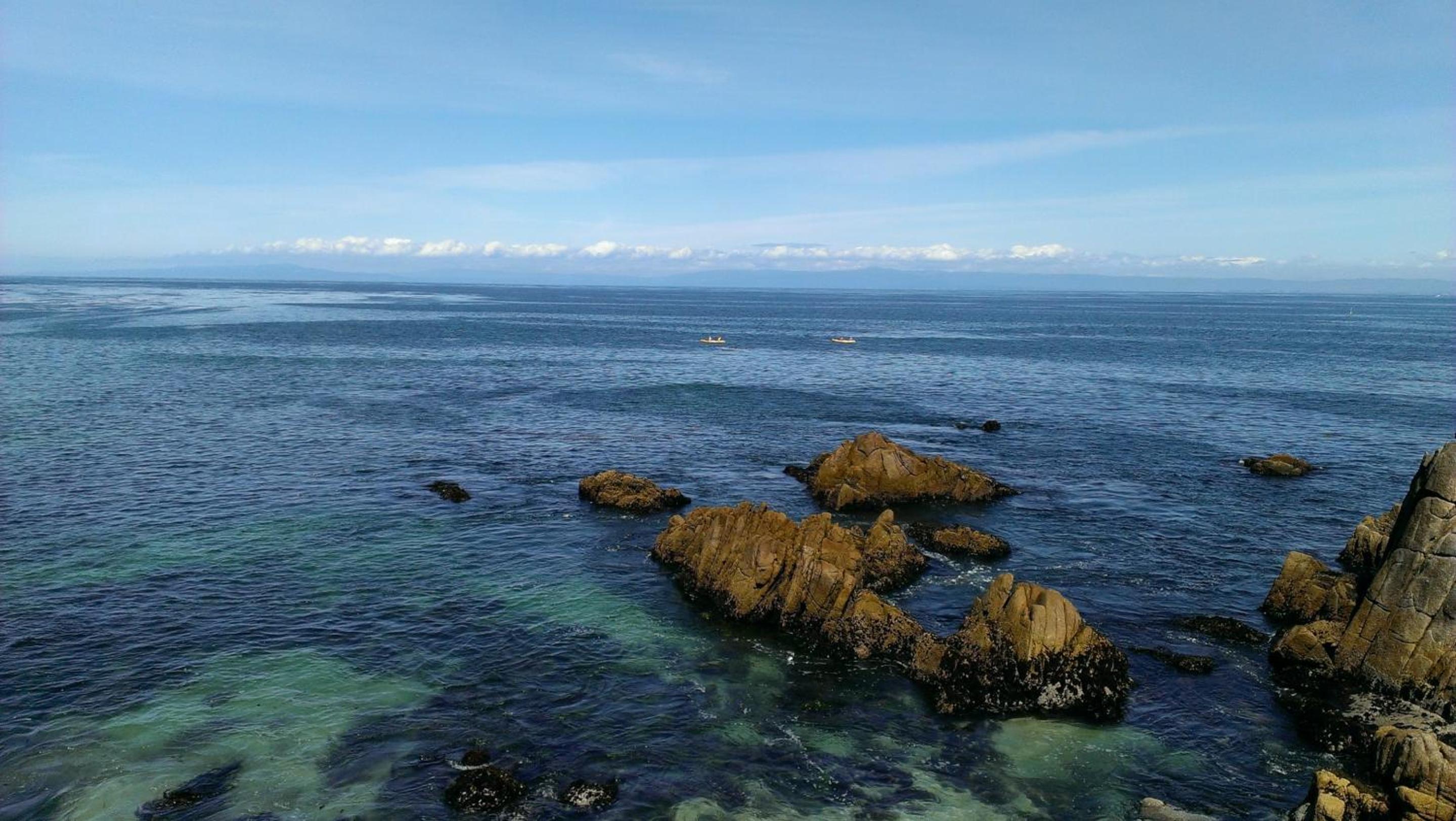 Pacific Grove Inn, photo 93