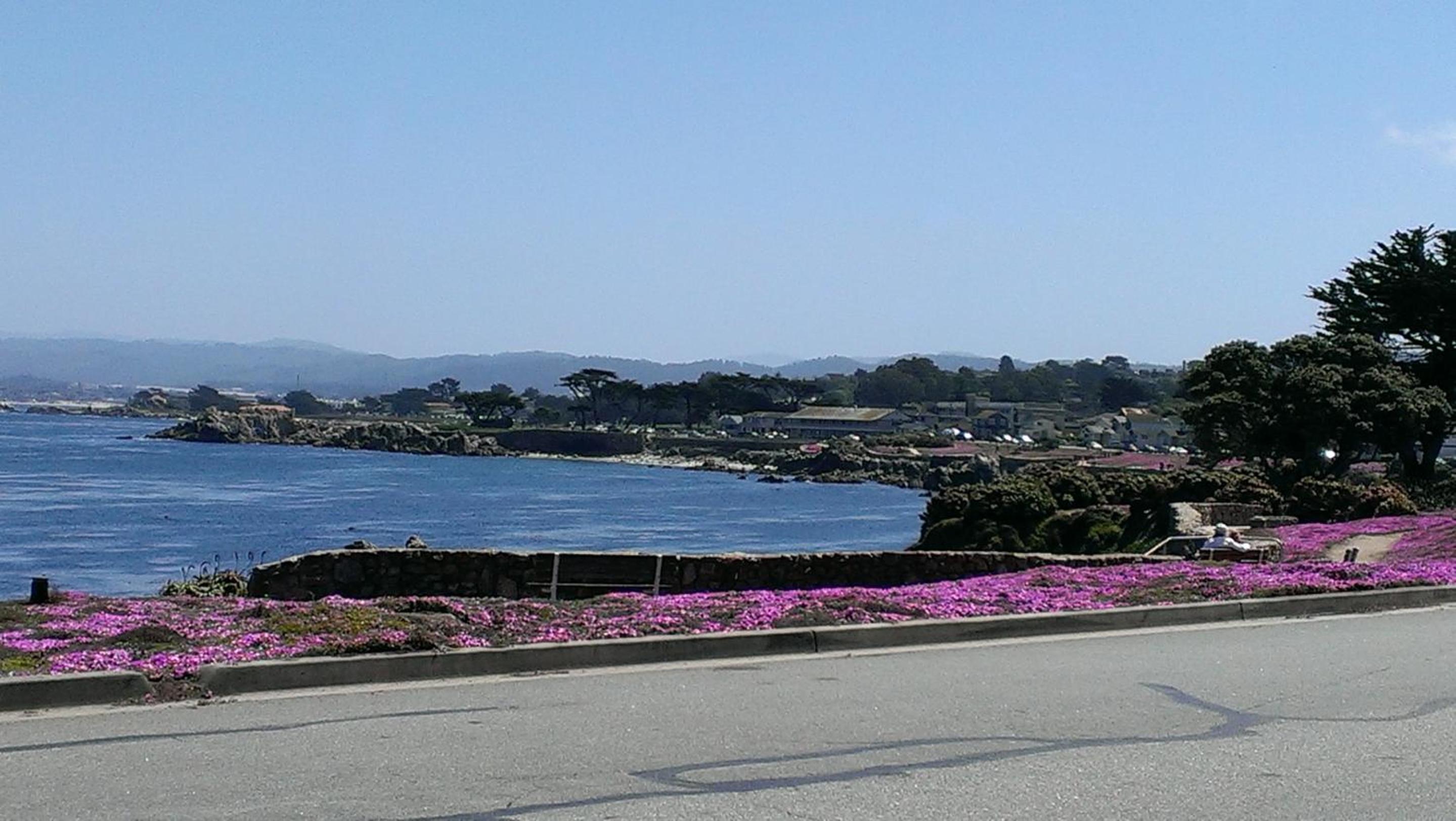 Pacific Grove Inn, photo 25