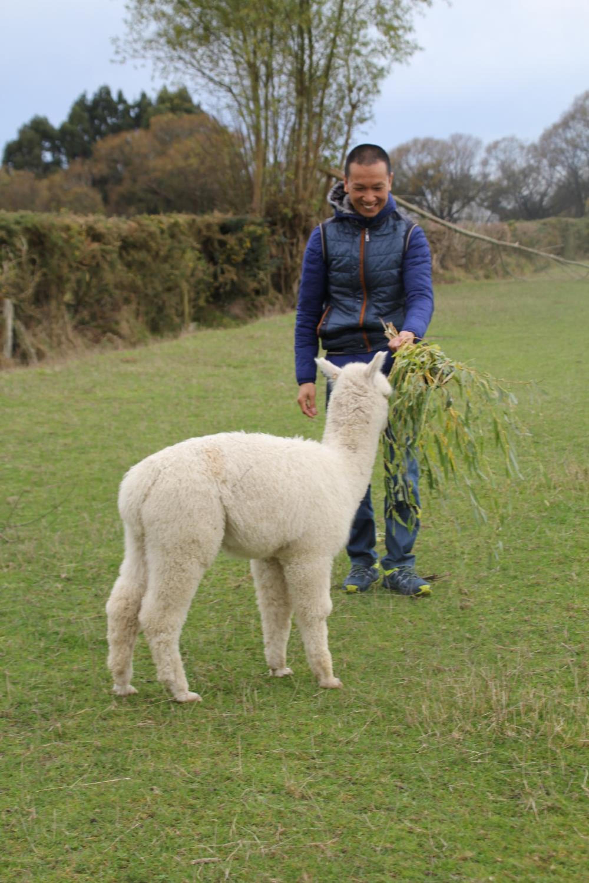 Silverstream Alpaca Farmstay & Tour
