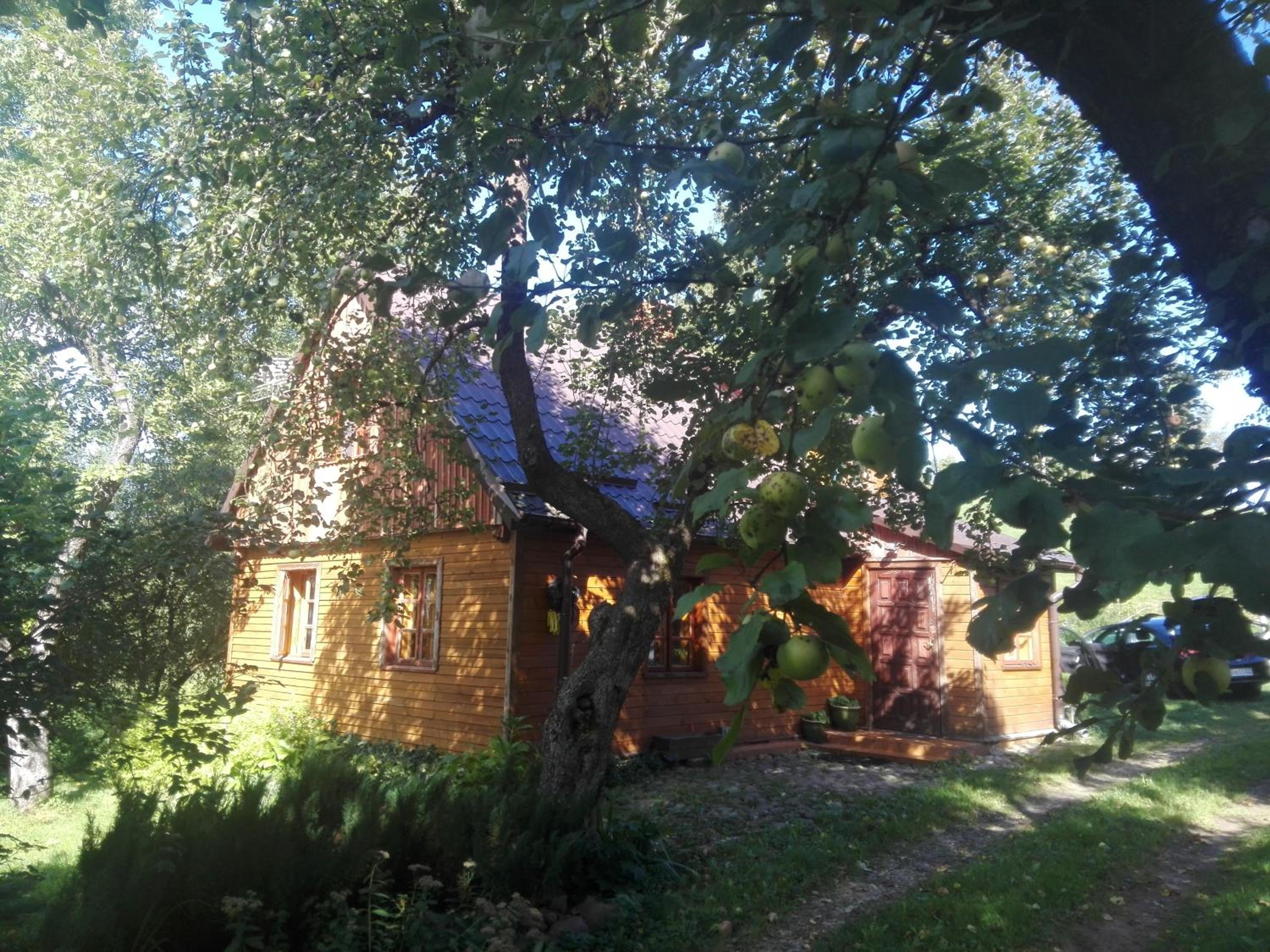 Photo 42