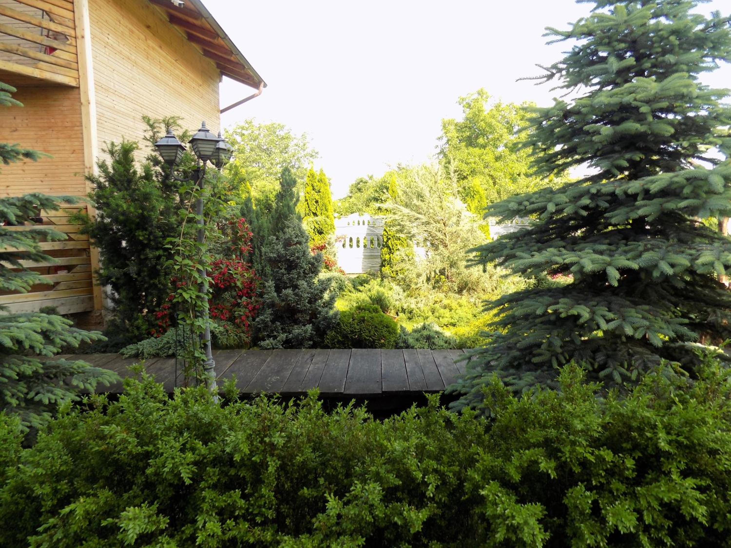 Photo 37