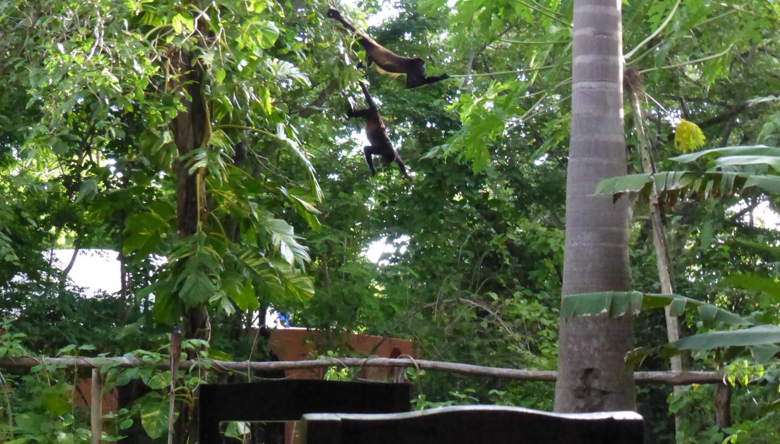 Mundo Milo Eco Lodge