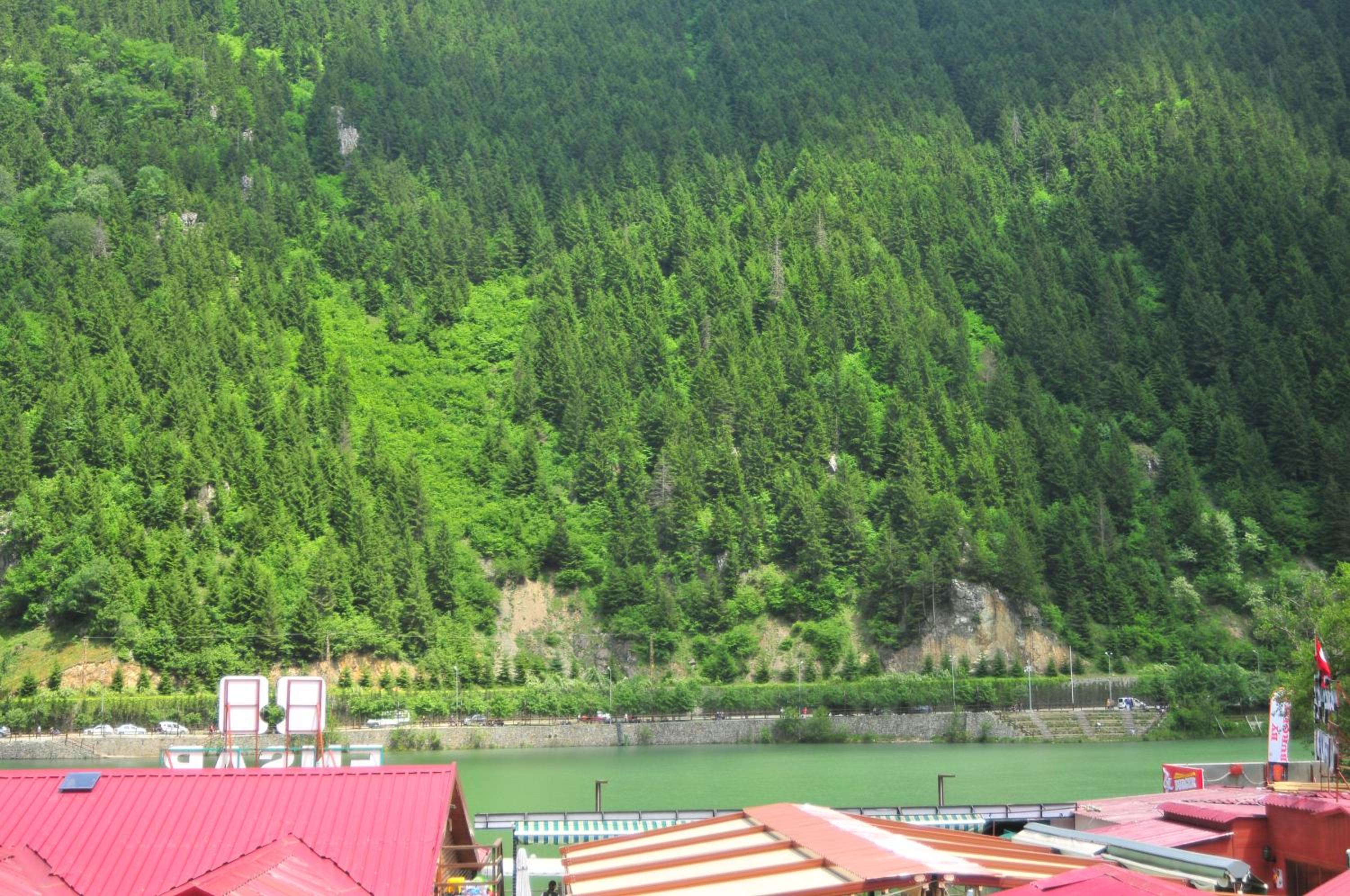 DİLEK SUIT&CAFE view 3