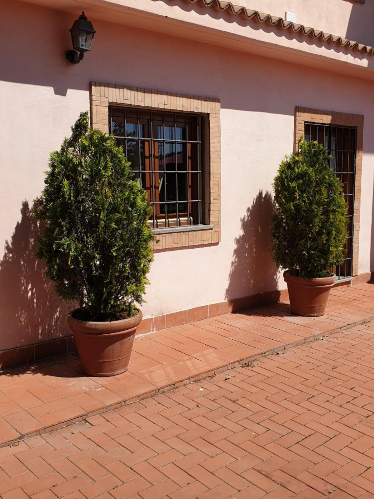 Azienda Agricola Sinisi
