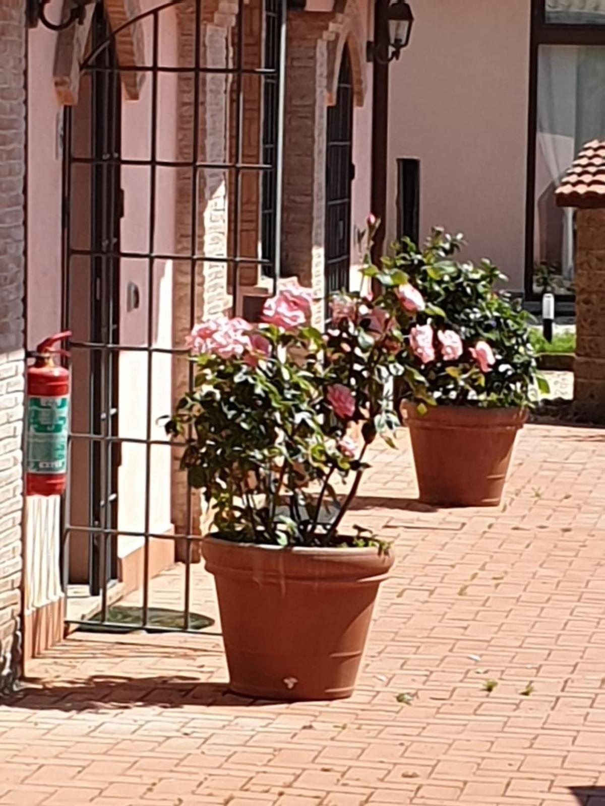 Azienda Agricola Sinisi