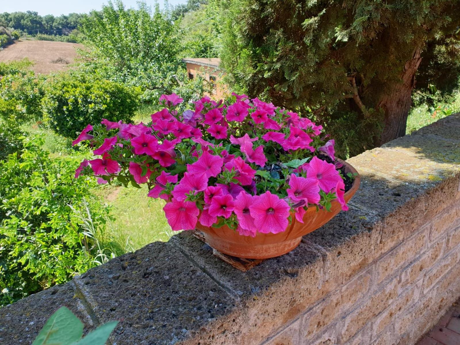 Azienda Agricola Sinisi