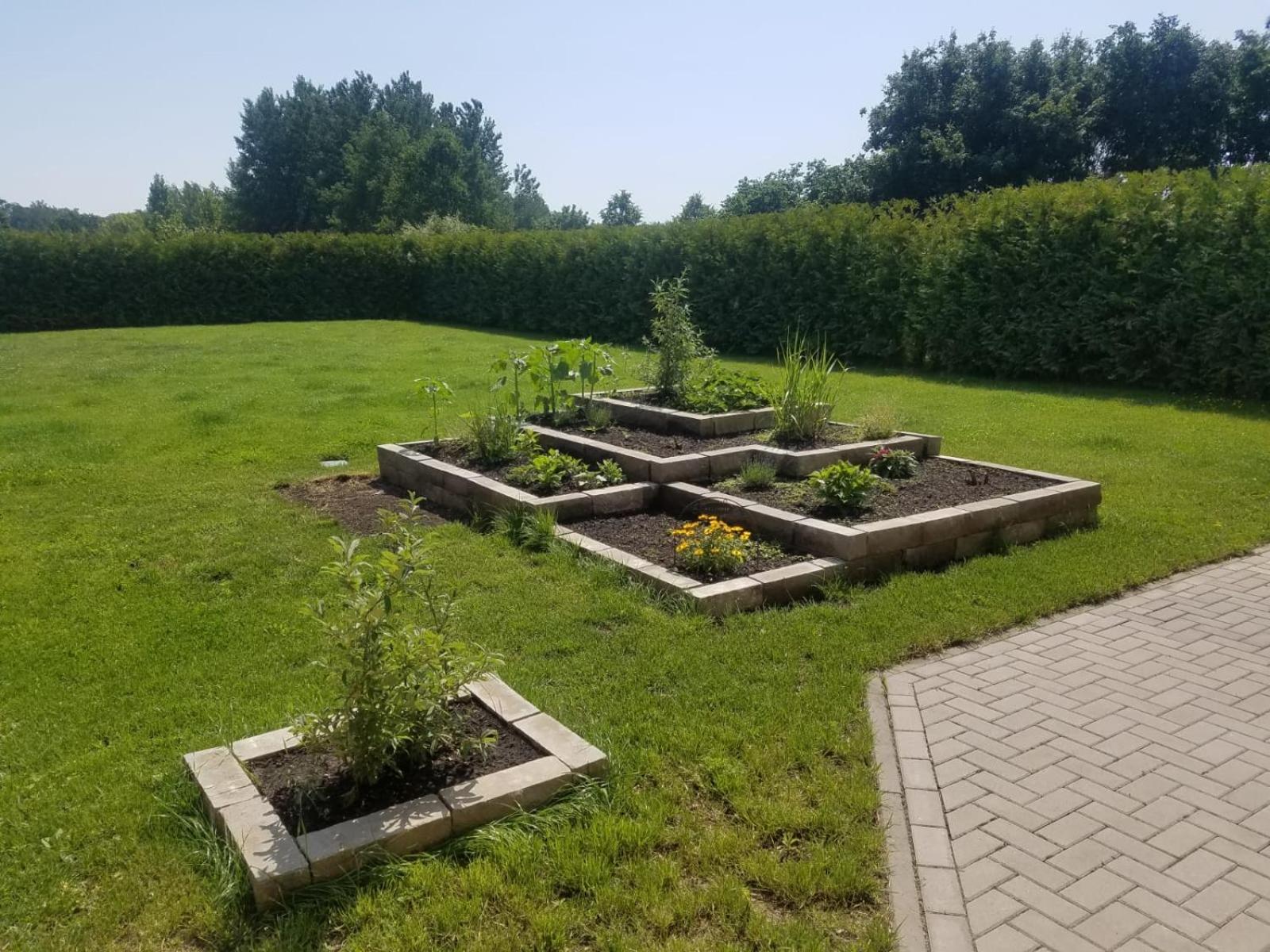 Ferienhaus zum Imker, photo 4