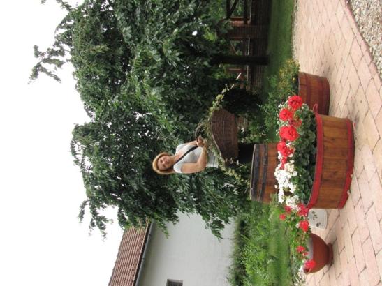 Photo 38