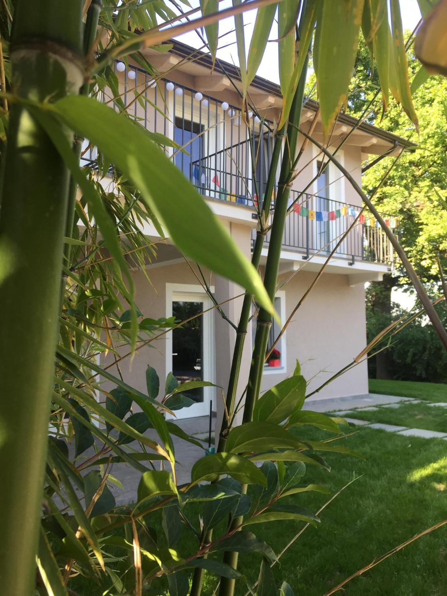 Photo 41