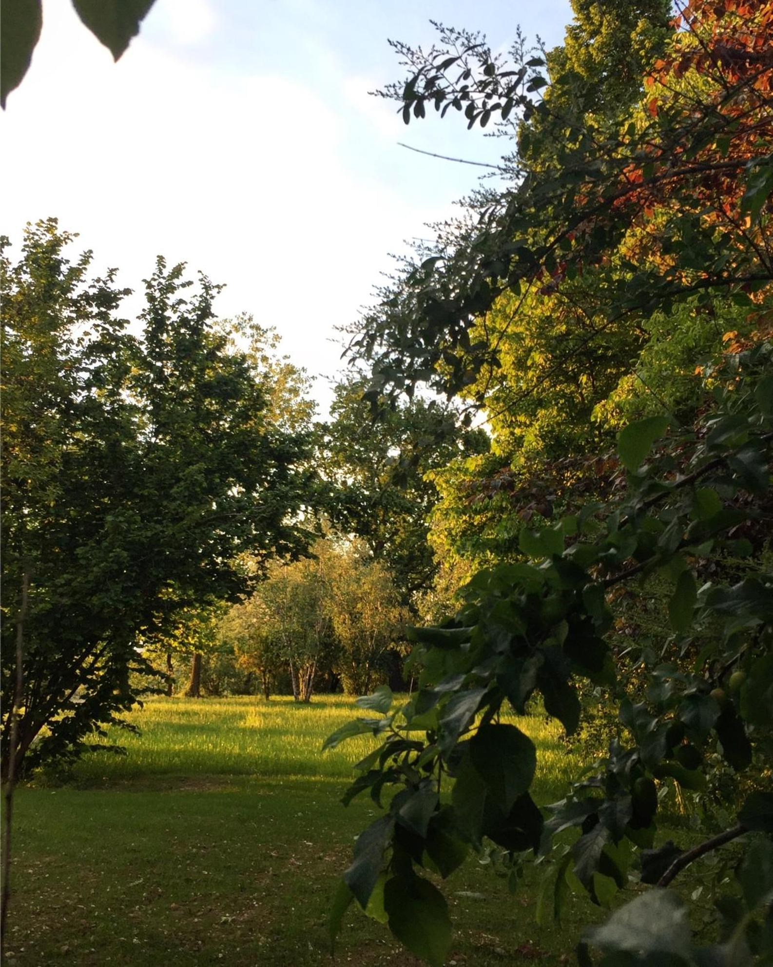 Photo 52