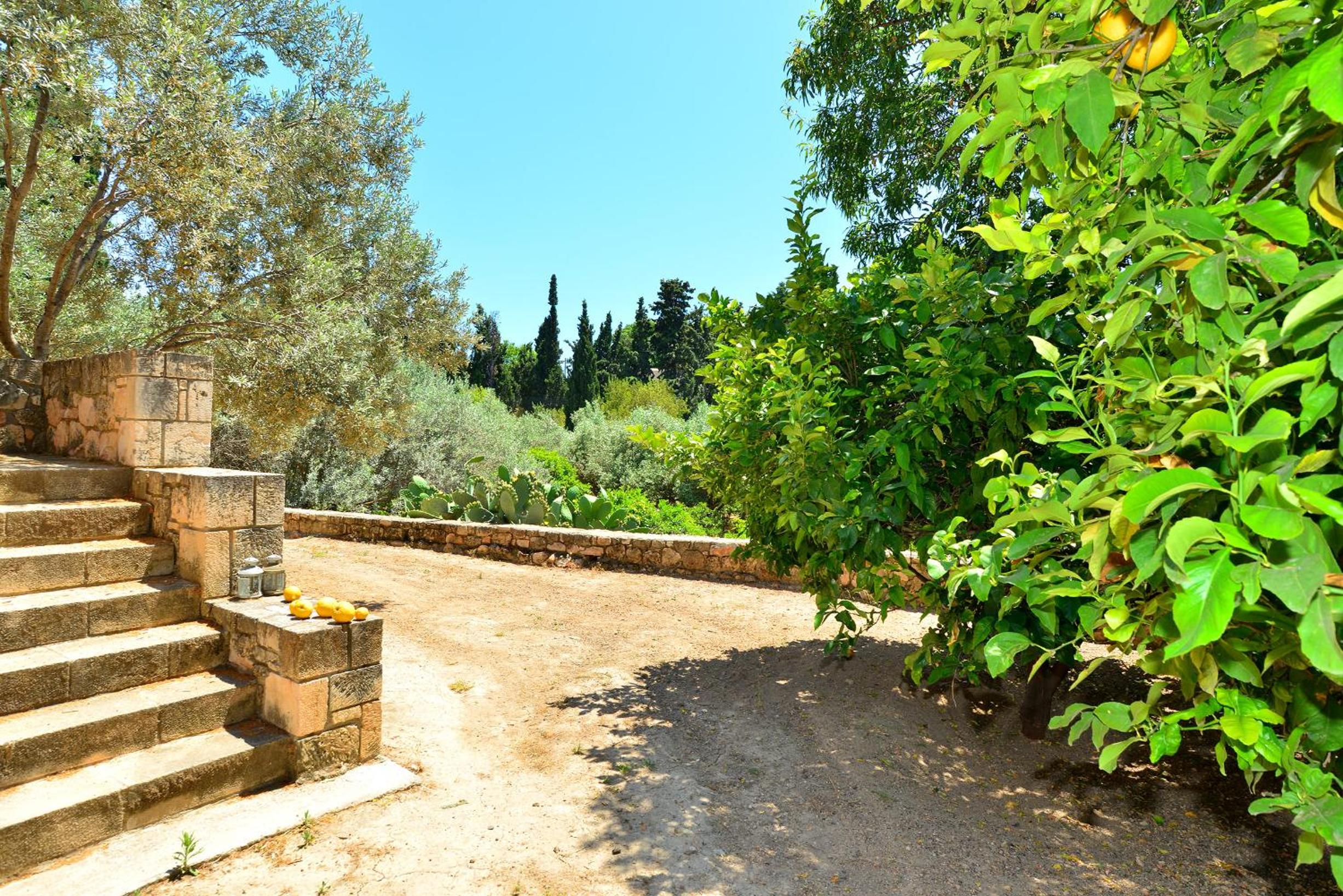 Photo 20