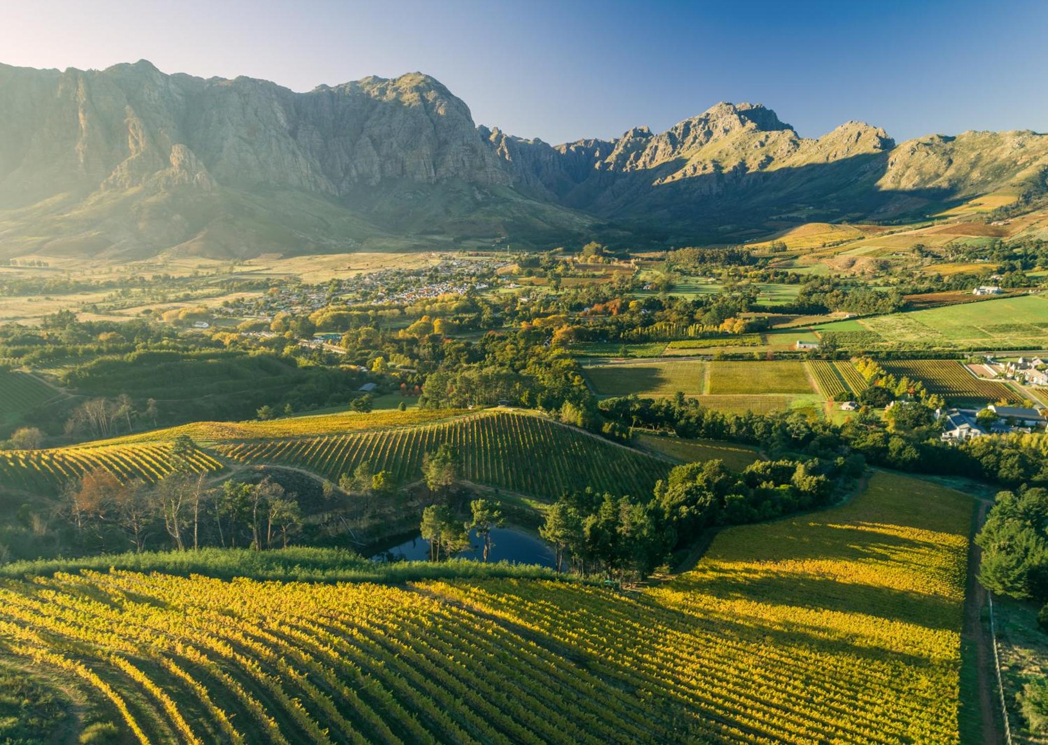 Bartinney Private Cellar Banhoek - Image 2