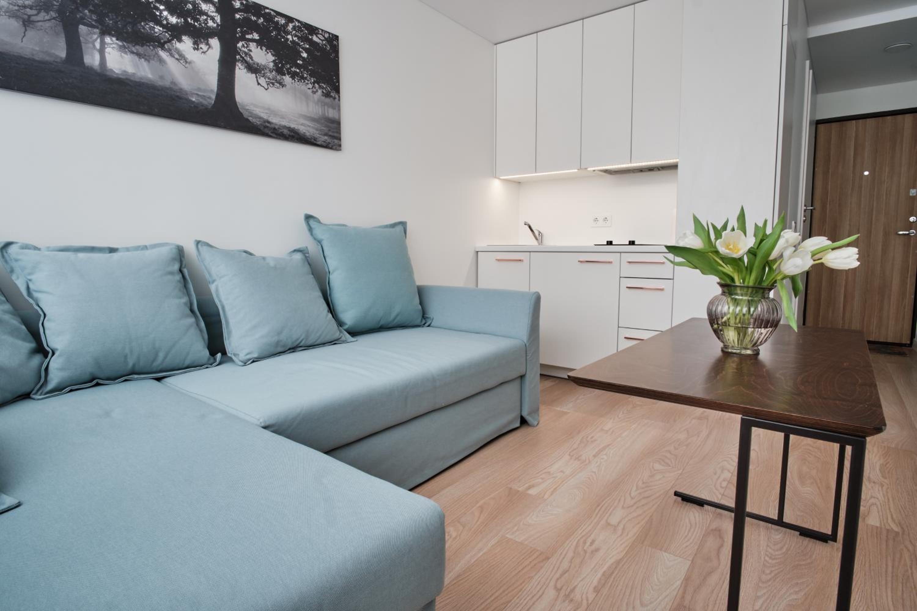 Cosy studio near Akropolis and Švyturio arena view 5