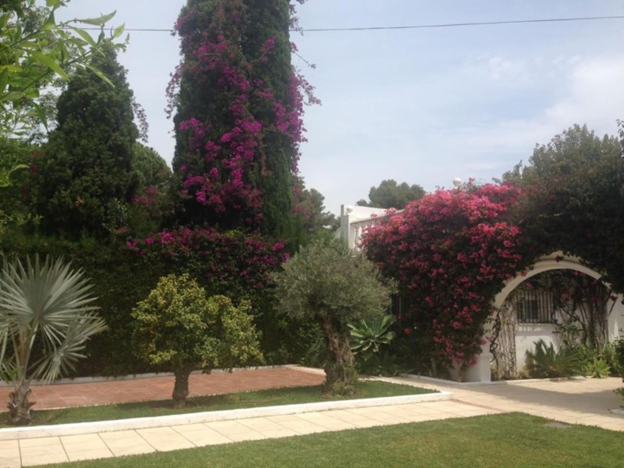 Photo 24