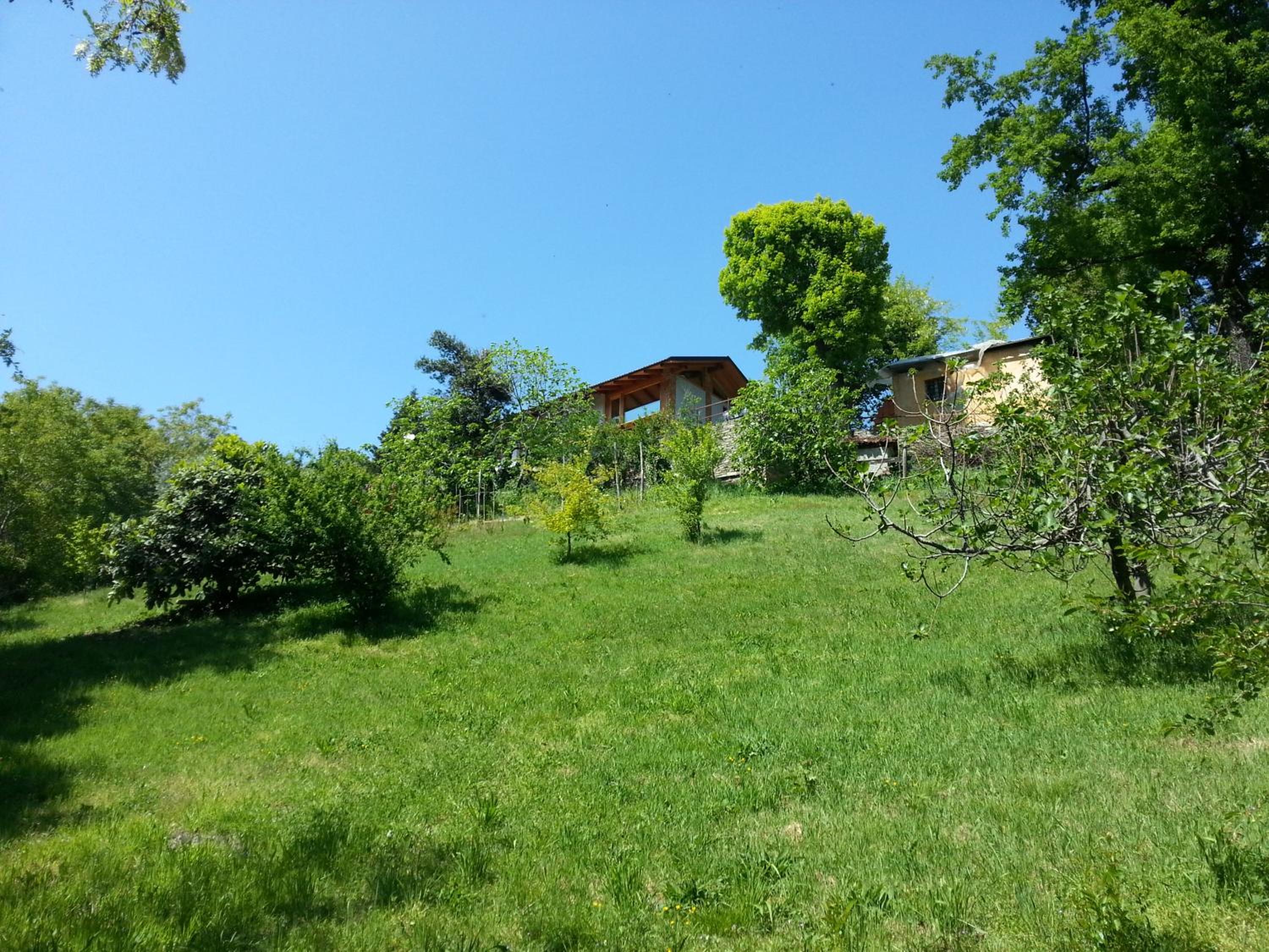 Photo 24