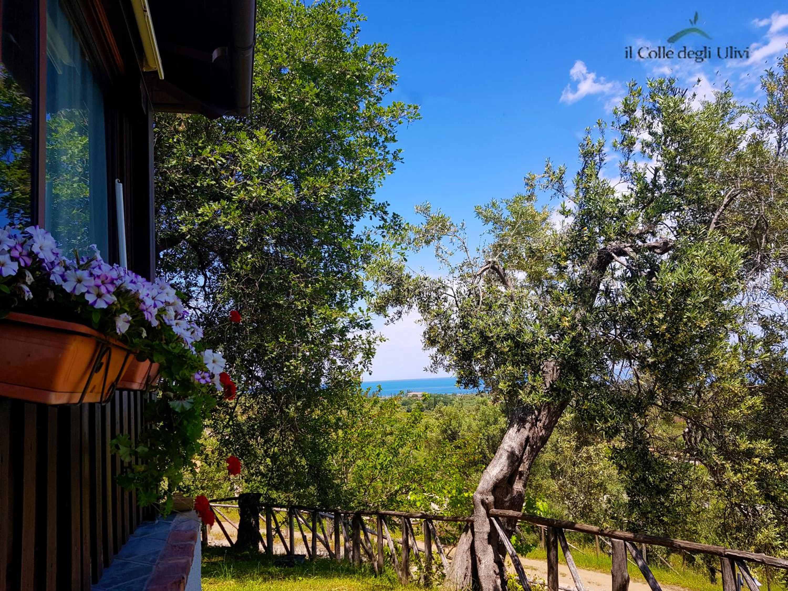 Agriturismo Vulcano