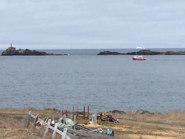 Robbins by the Sea
