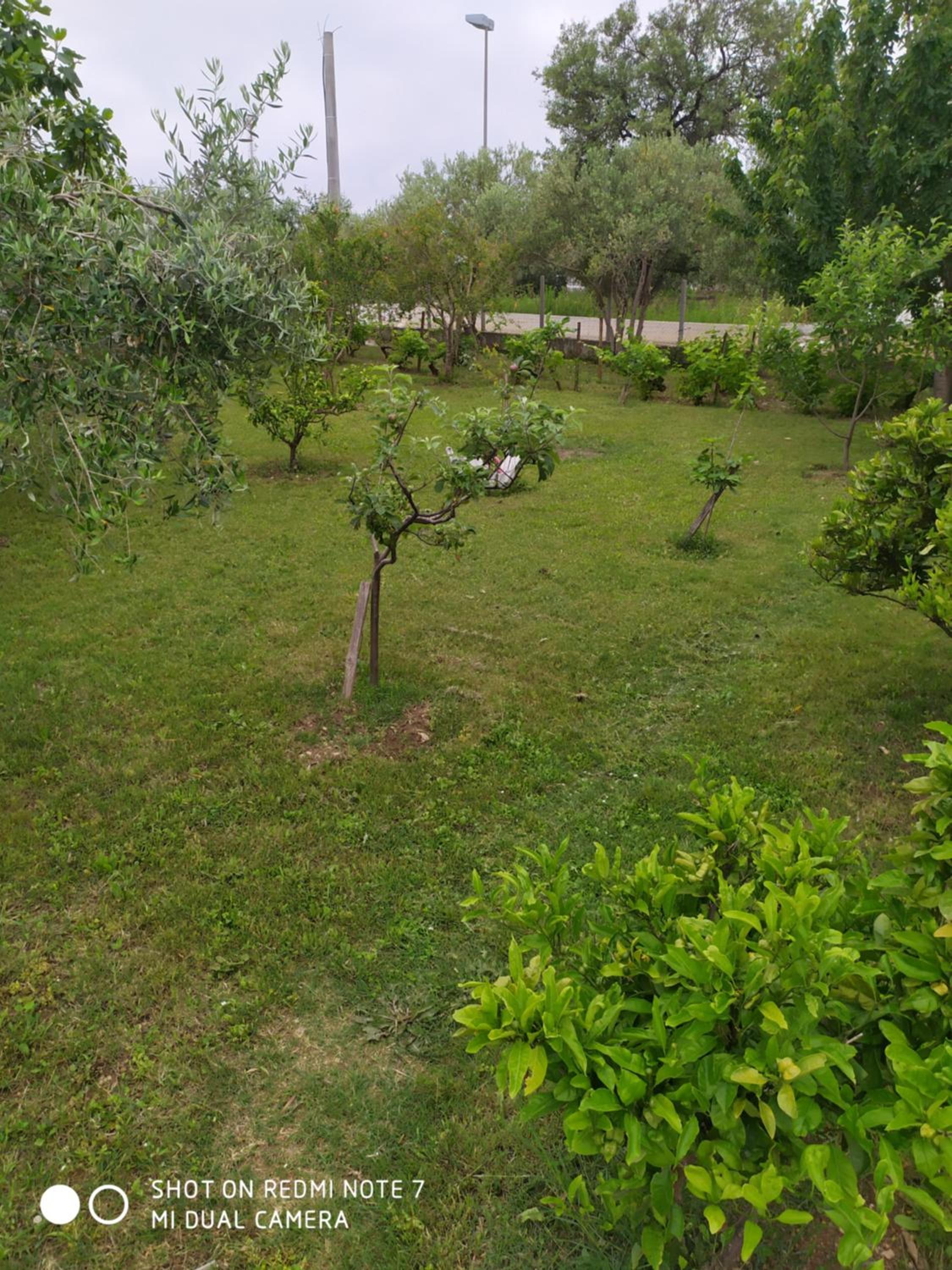 Photo 26