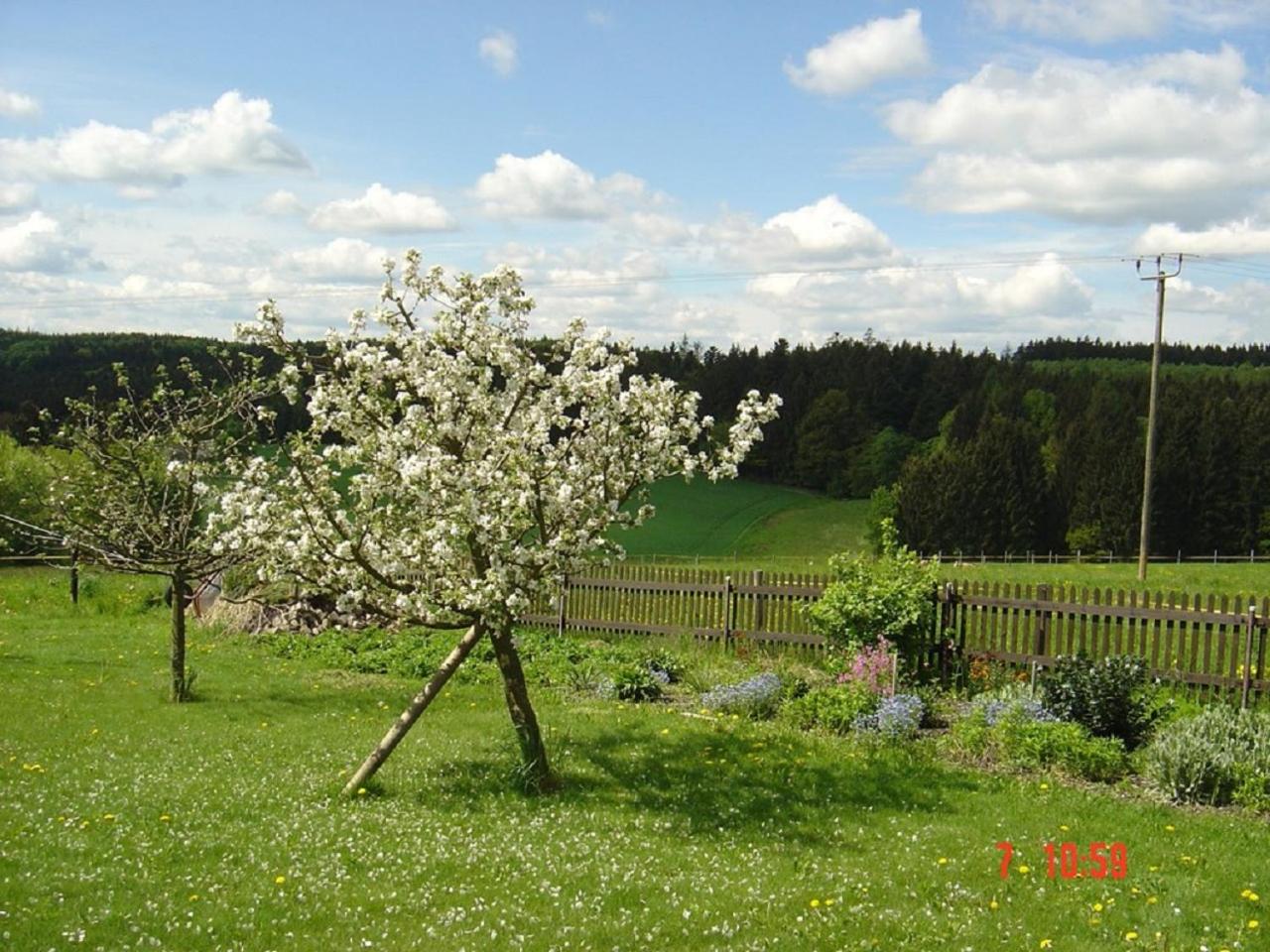 Pension Steiger