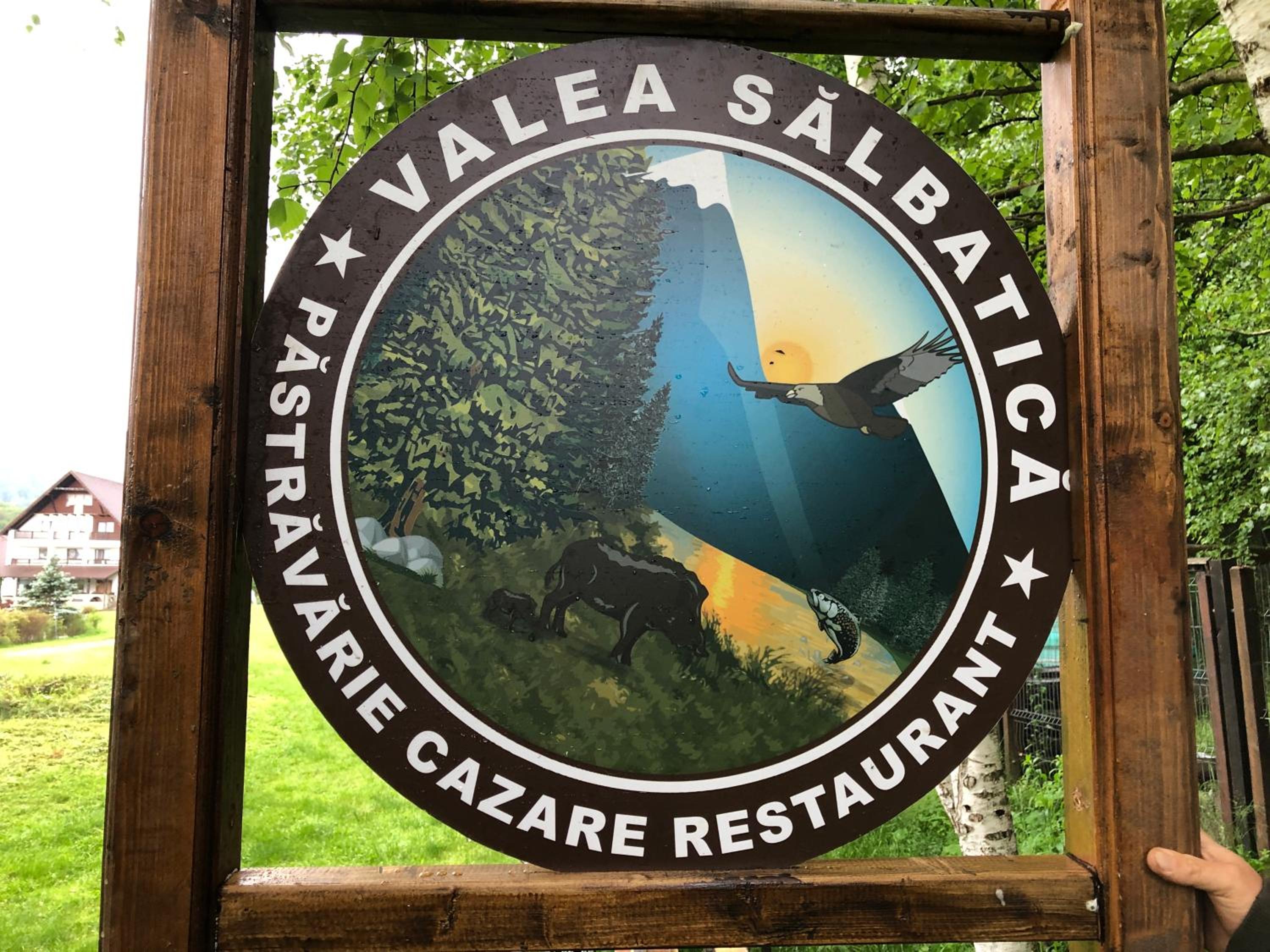 Valea Salbatica