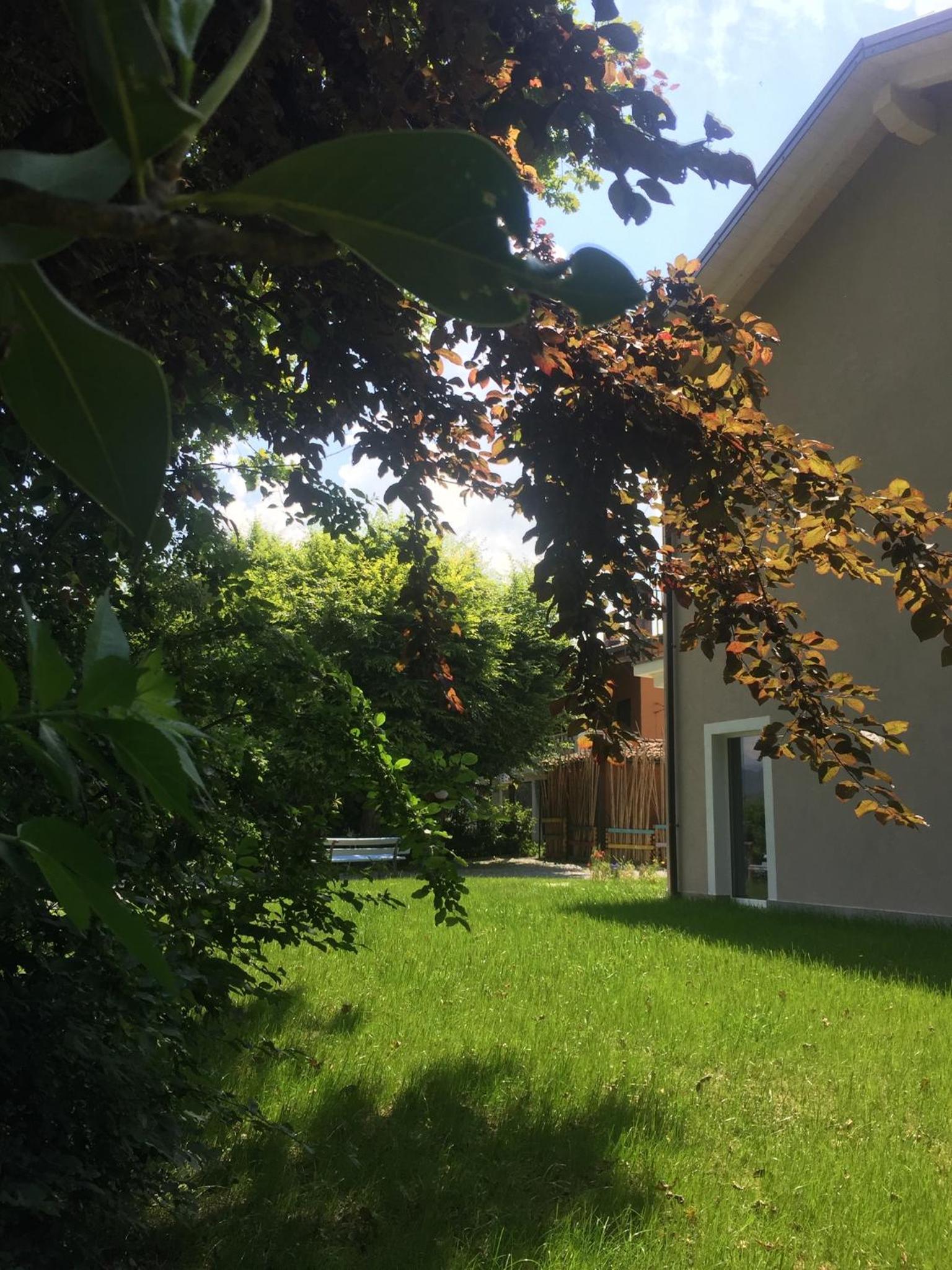 Photo 44