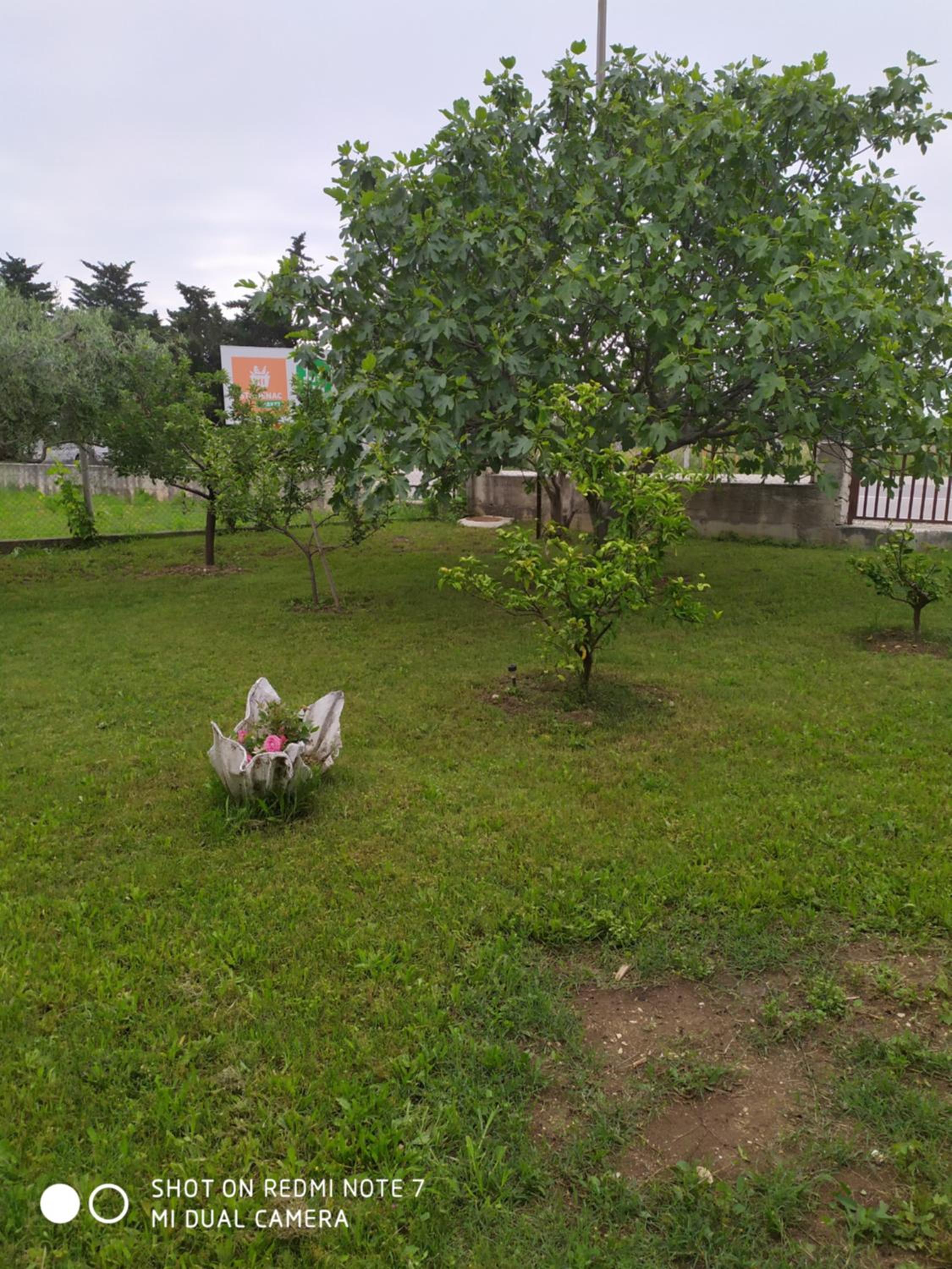 Apartmant Sučić view 2