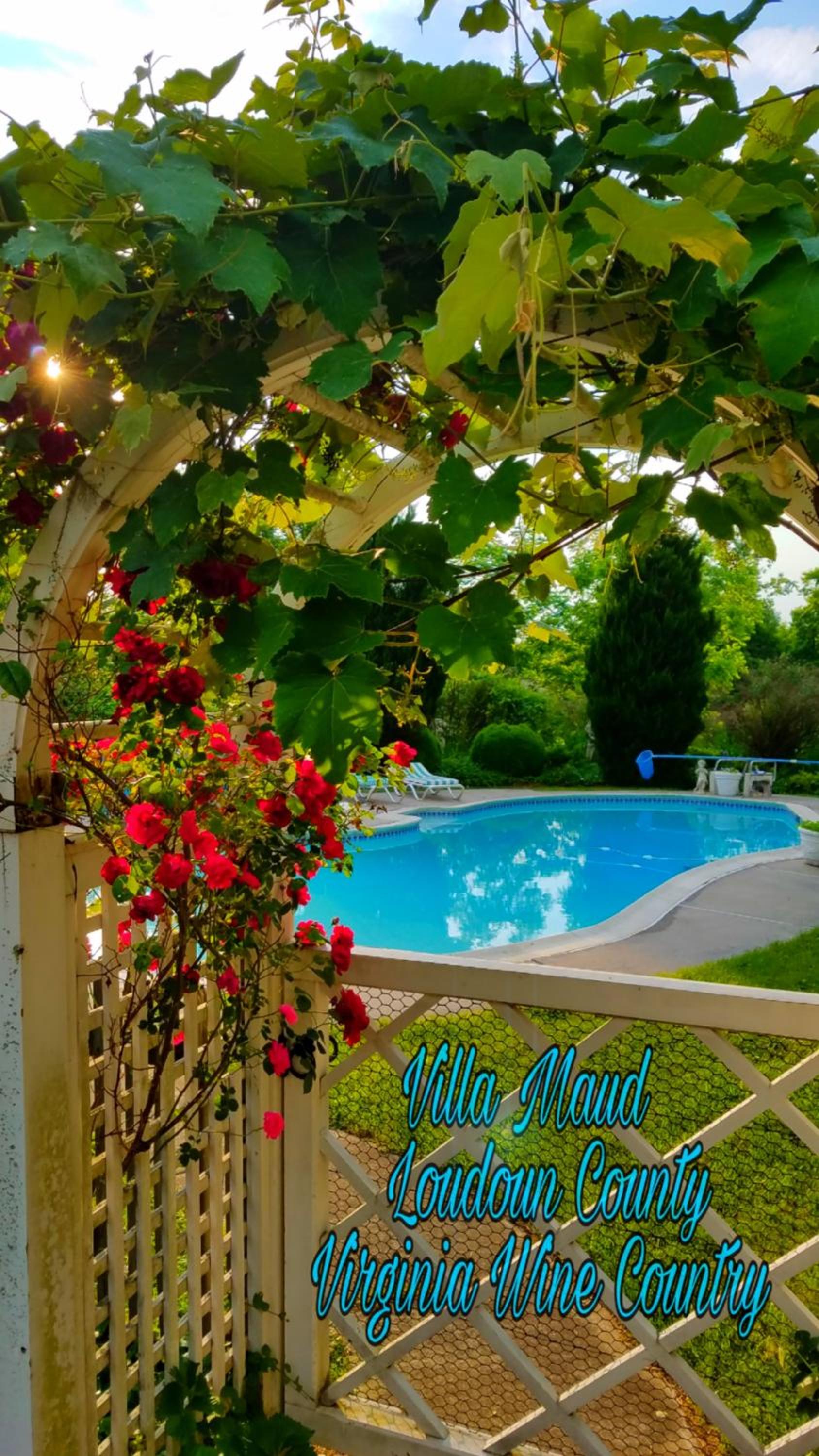 Villa Maud - Property Image 47