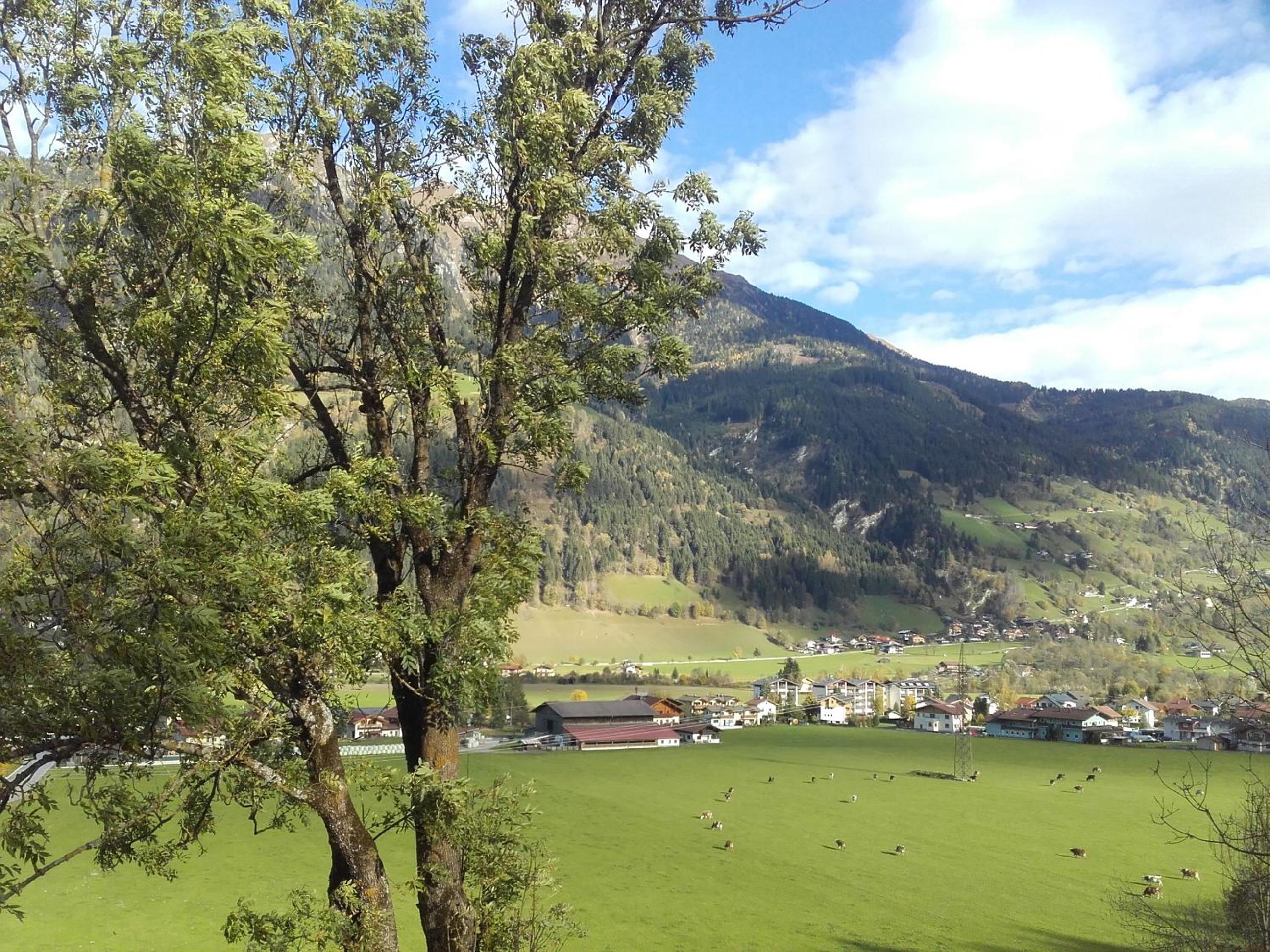 Stubnerbauer