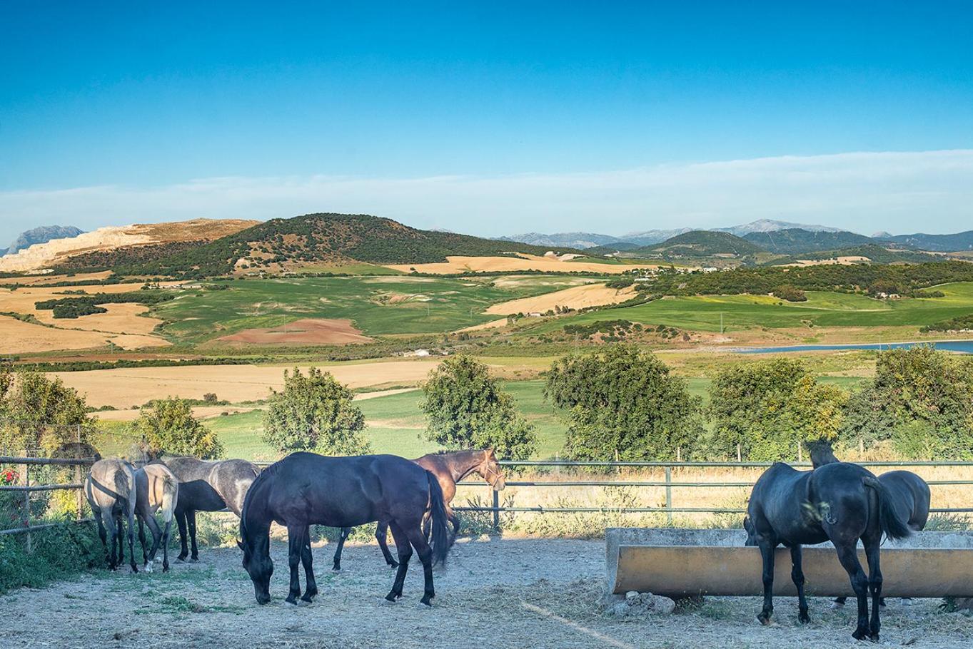 Private Villa Cortijo Sierra y Lago with private swimming pool