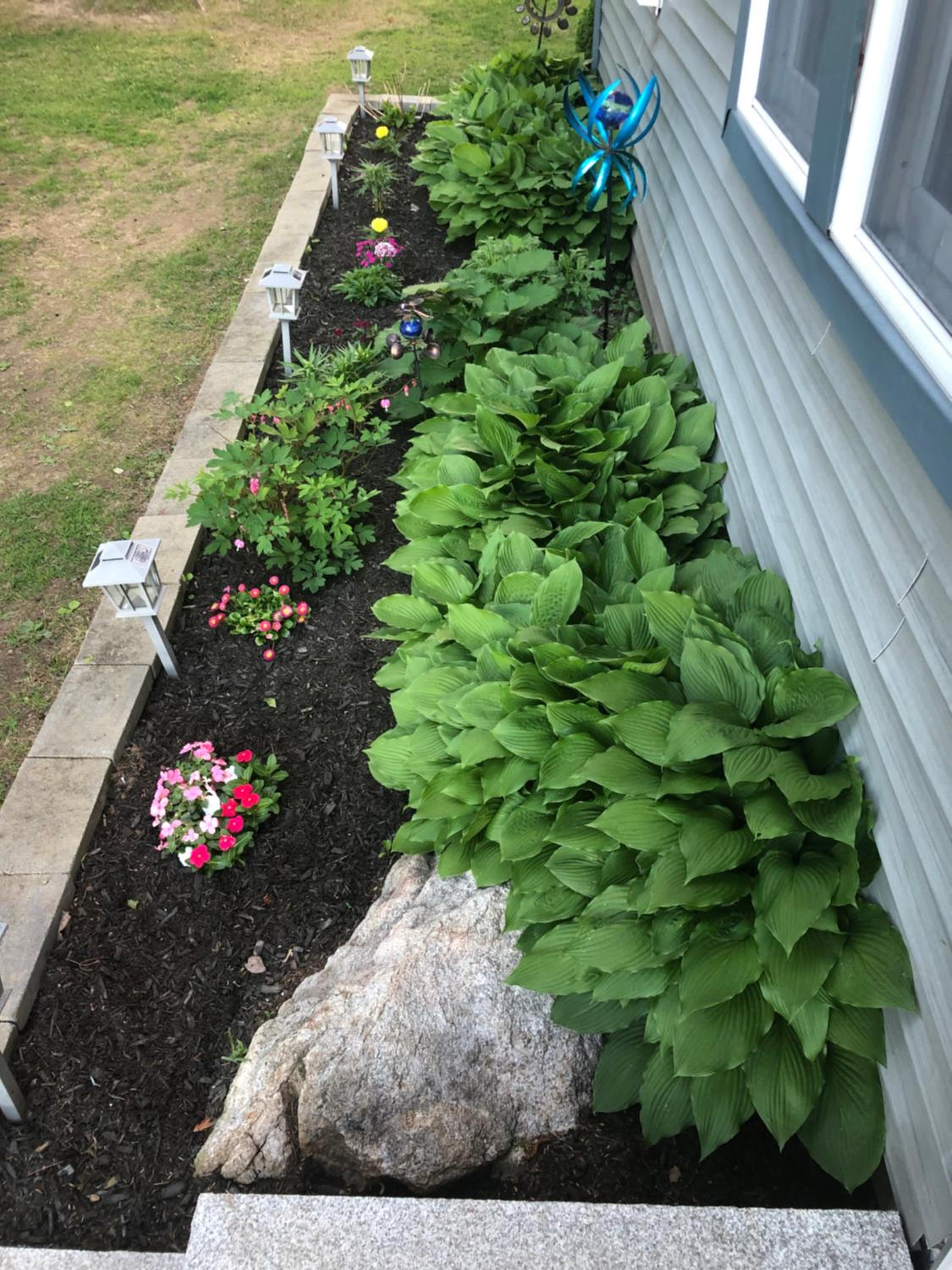 Photo 18