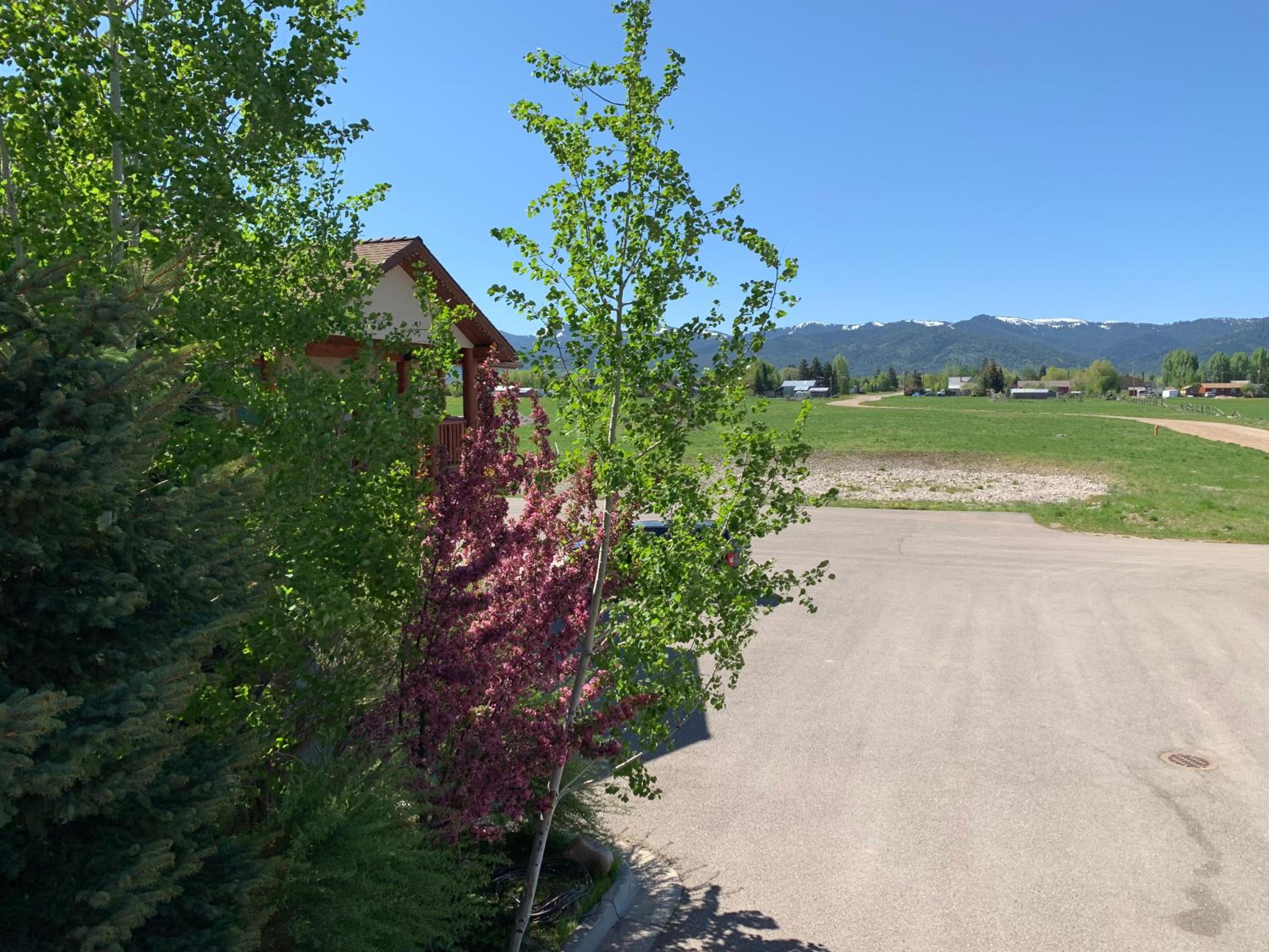 Teton Valley Motel