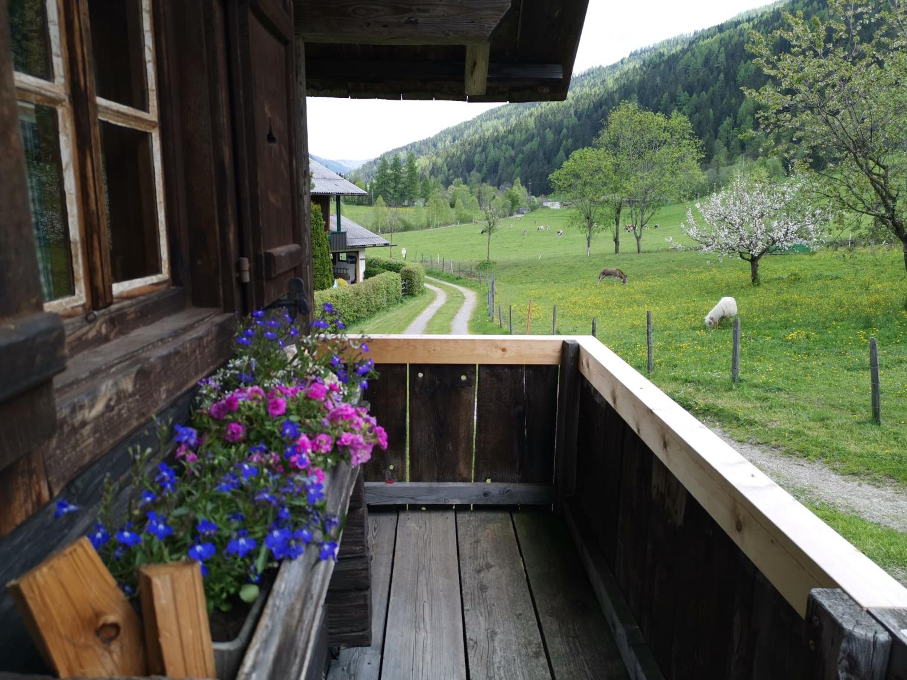 Bad Kleinkirchheim Bio Naturhof Ottingerhof