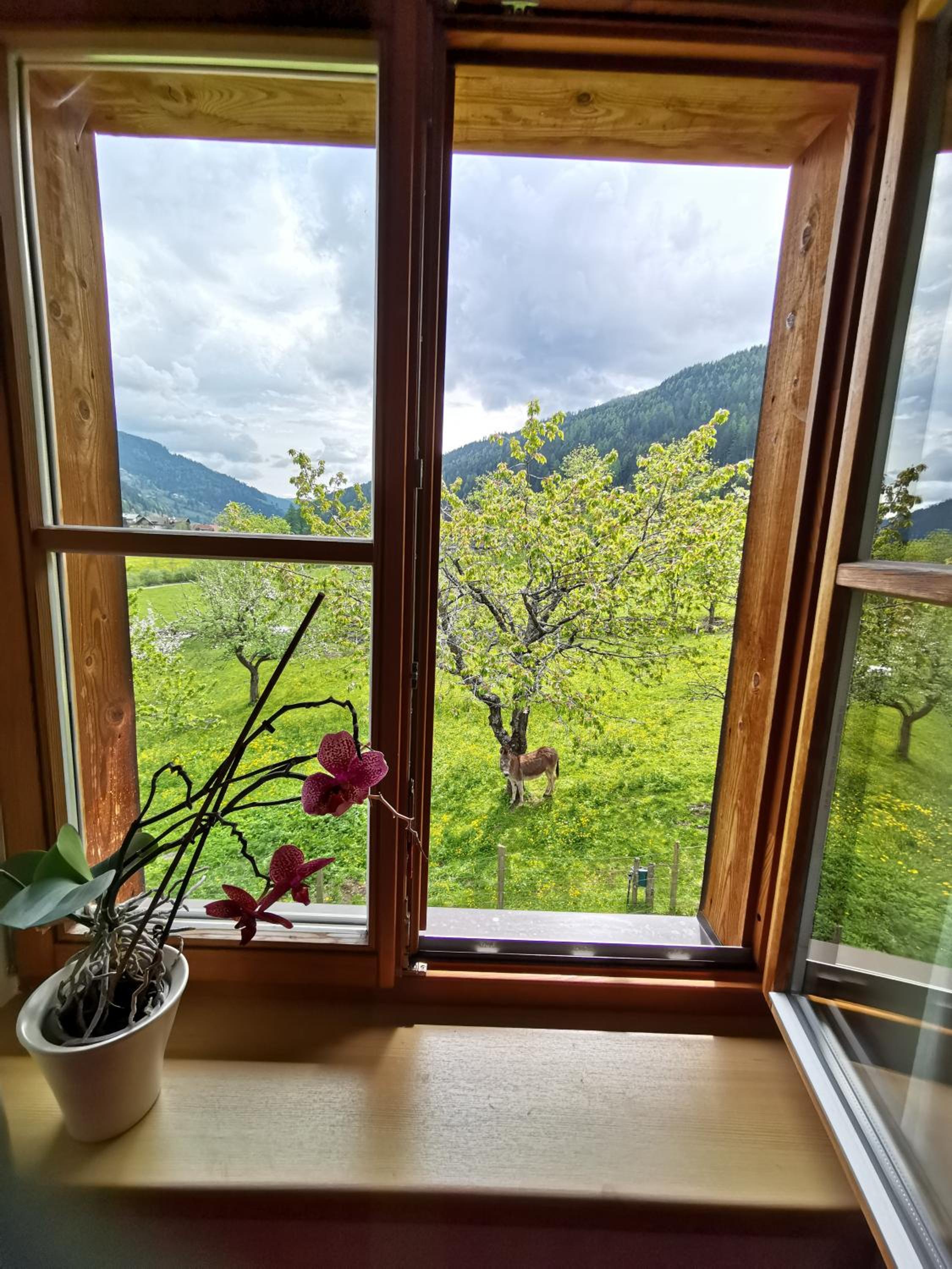 Bad Kleinkirchheim Bio Naturhof Ottingerhof