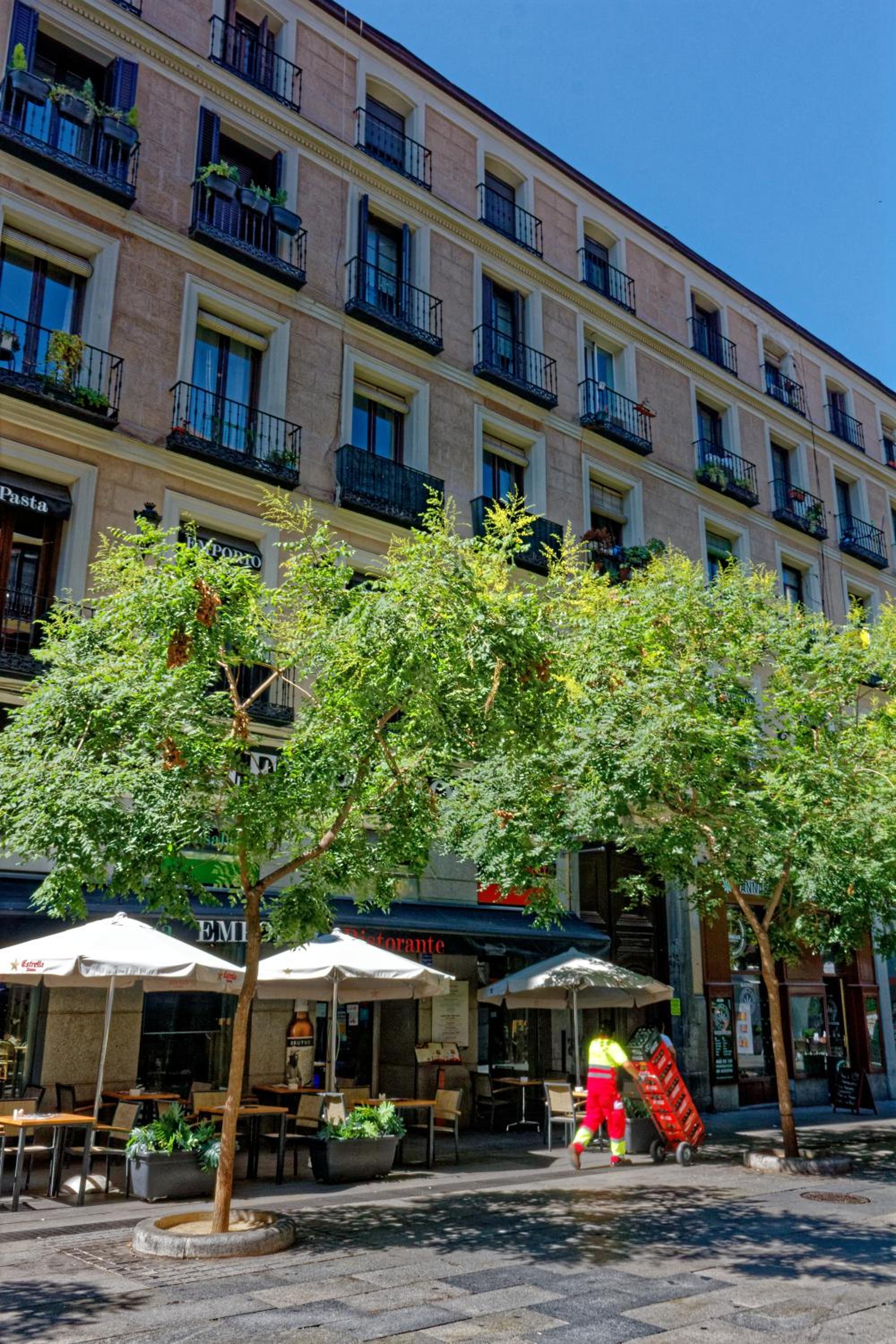 Arenal Suites Preciados - Image 4