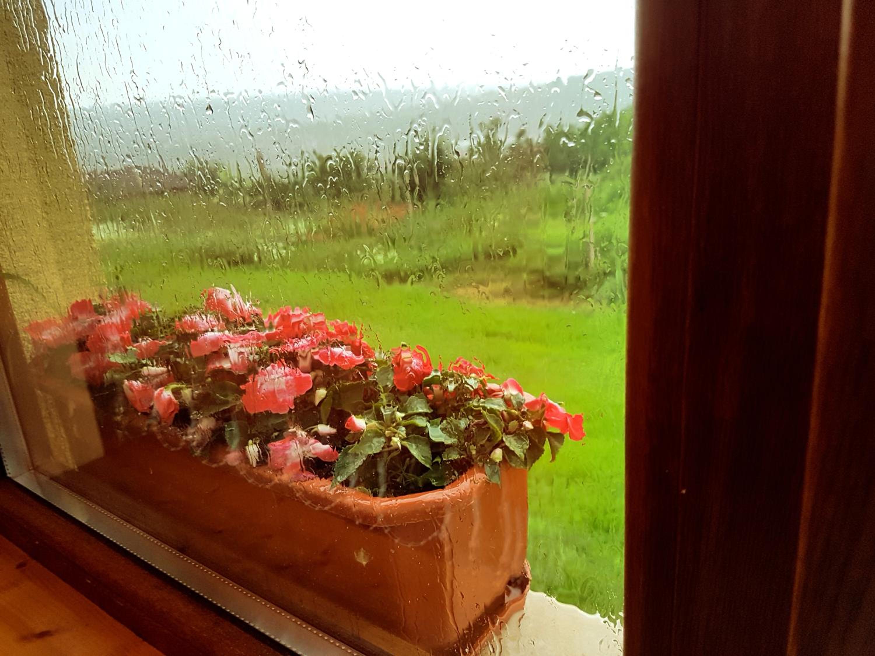 Malavi Guest House Krasen! Comfort&clean!