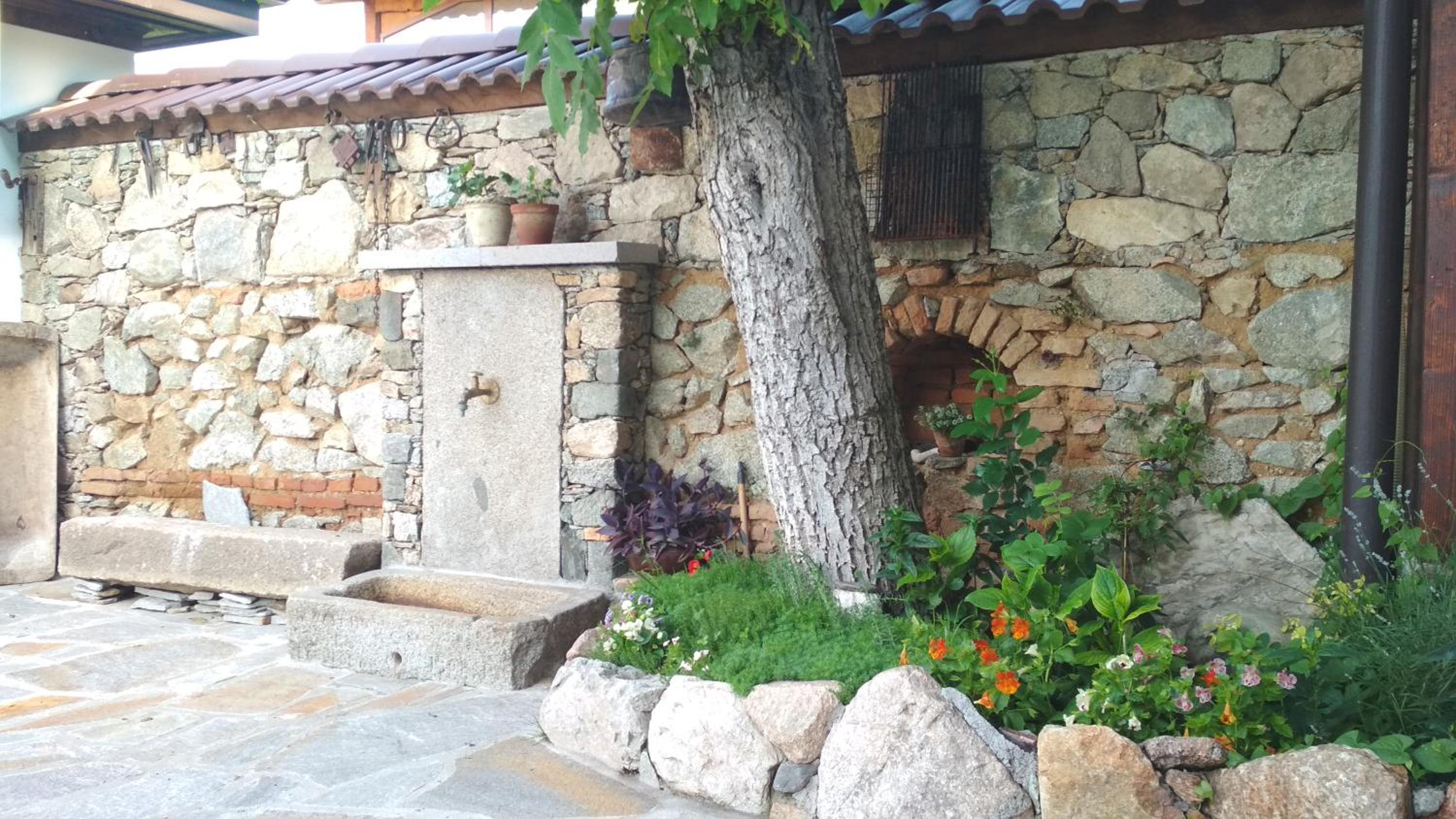 Боримечковата къща