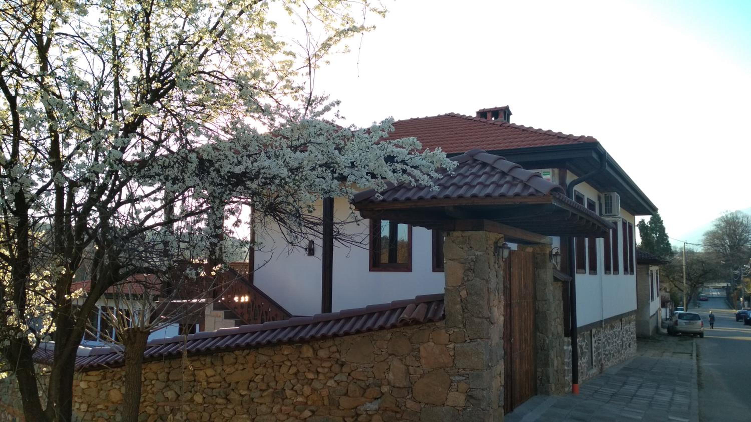 Боримечковата къща