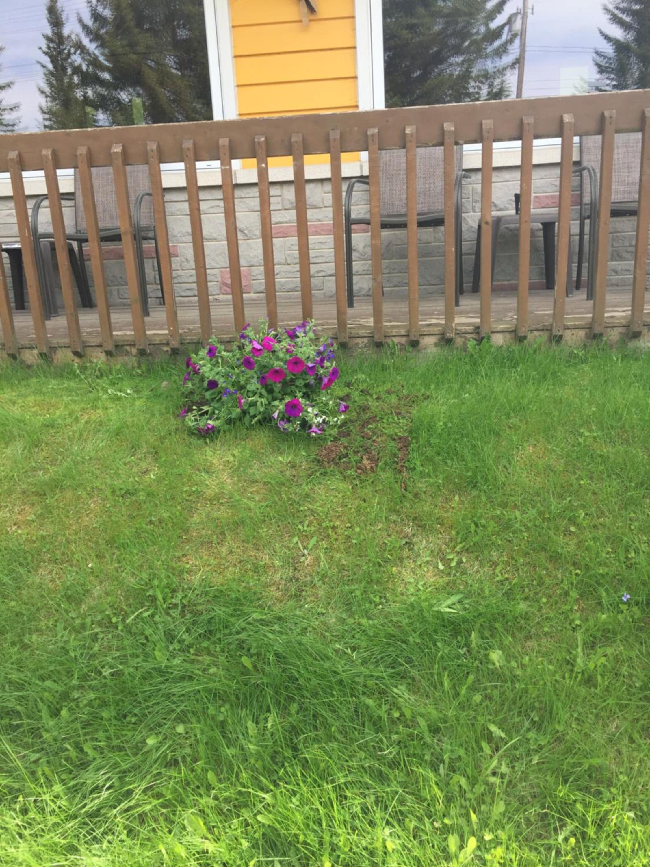 Photo 12
