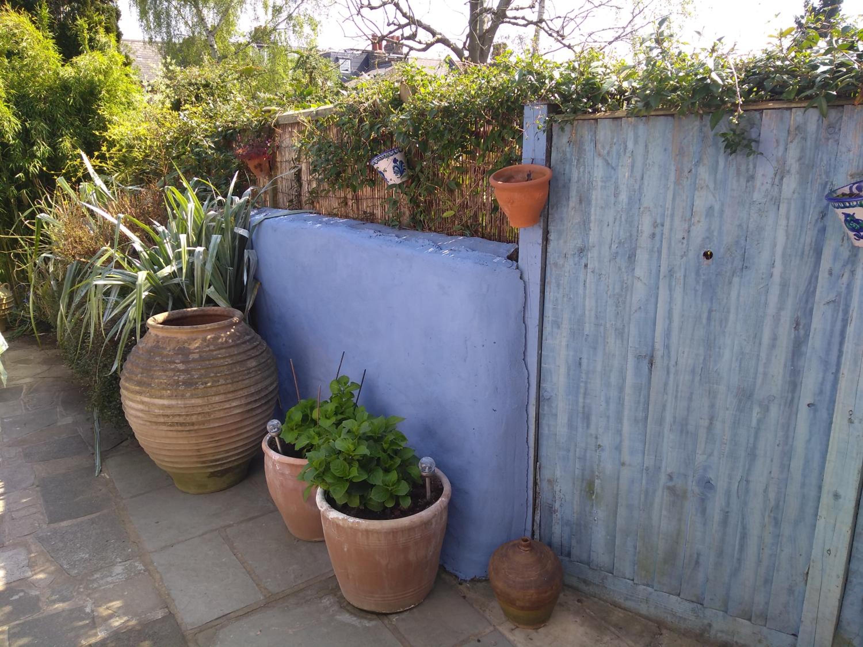 garden