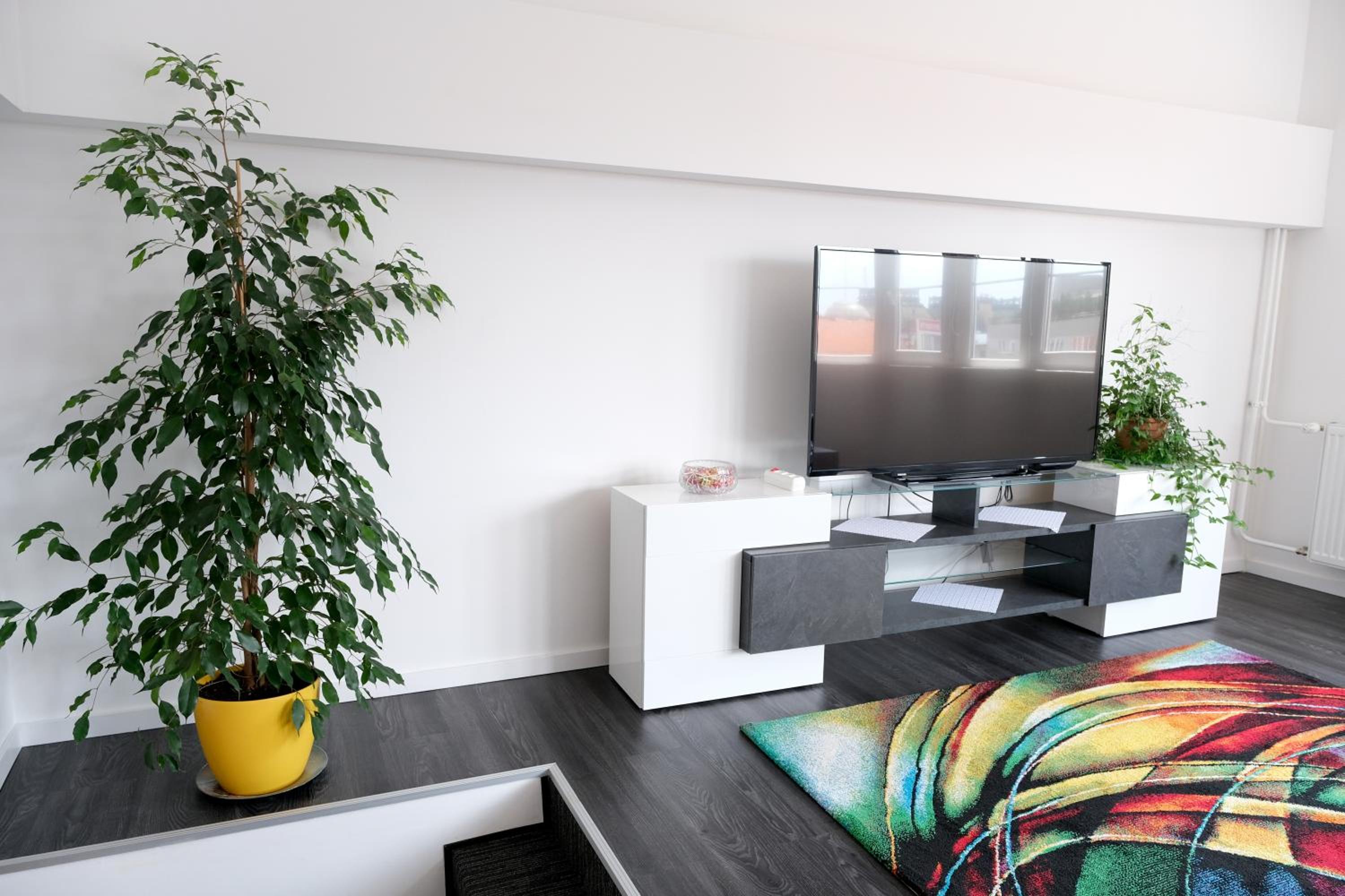 Main Square Oval Apartment view 5