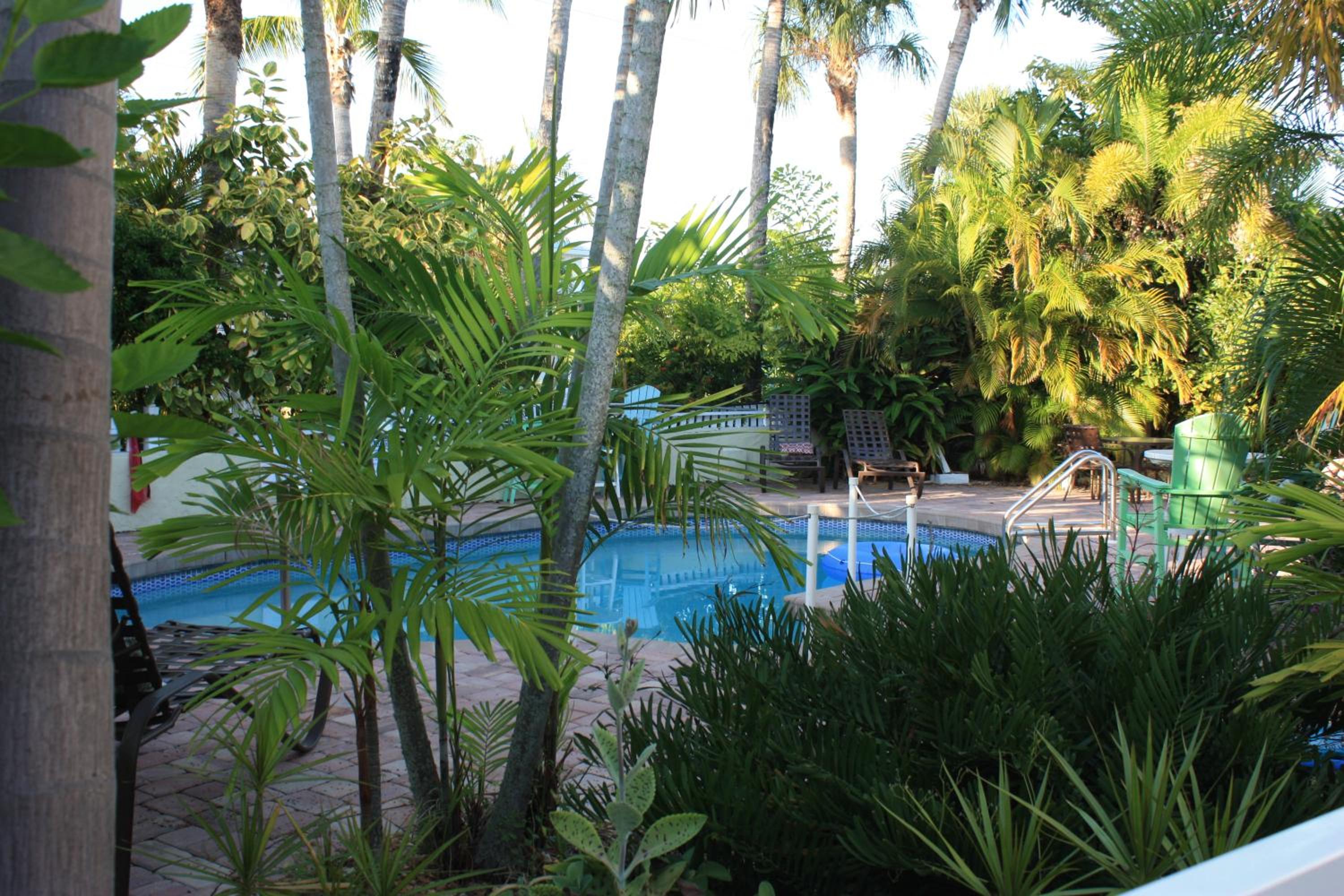 An Island Getaway at Palm Tree Villas