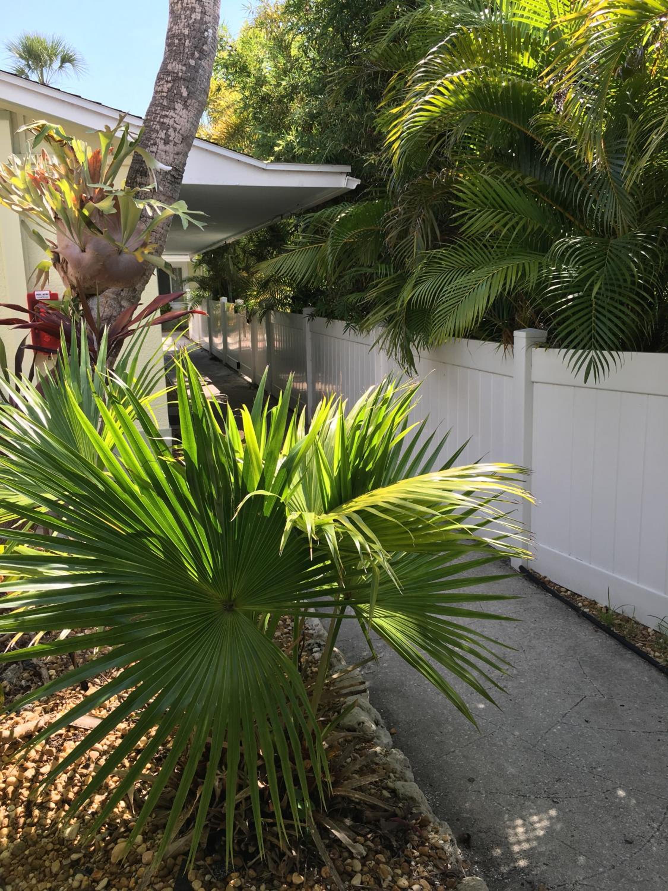 An Island Getaway at Palm Tree Villas