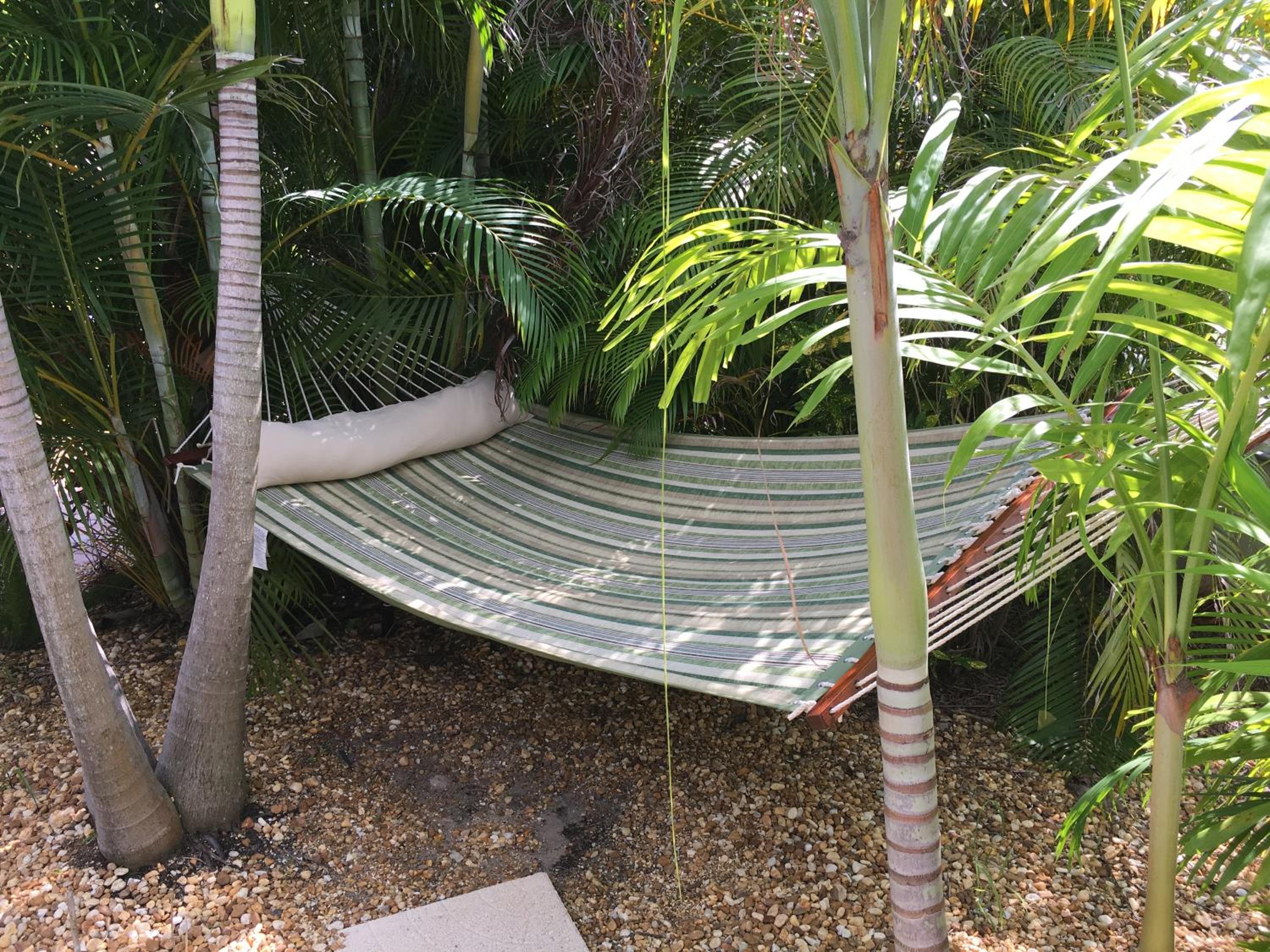 An Island Getaway at Palm Tree Villas